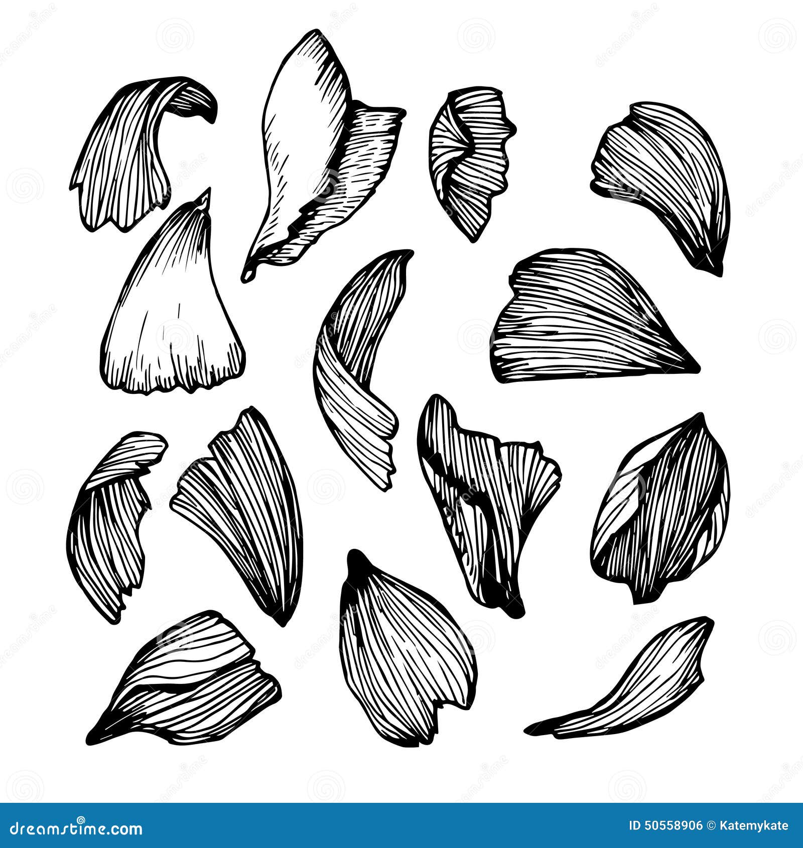 Rose Petals Stock Illustrations 24 128 Rose Petals Stock Illustrations Vectors Clipart Dreamstime