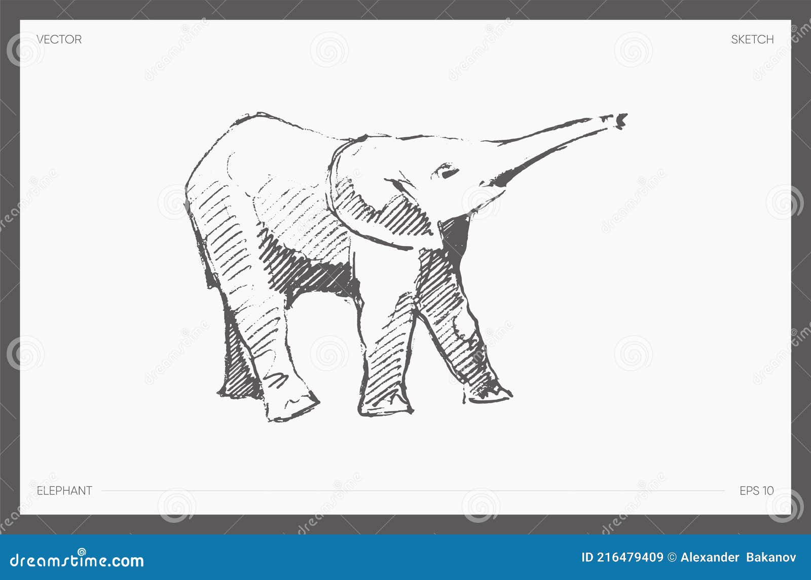 hand drawn  little elephant drawing sketch