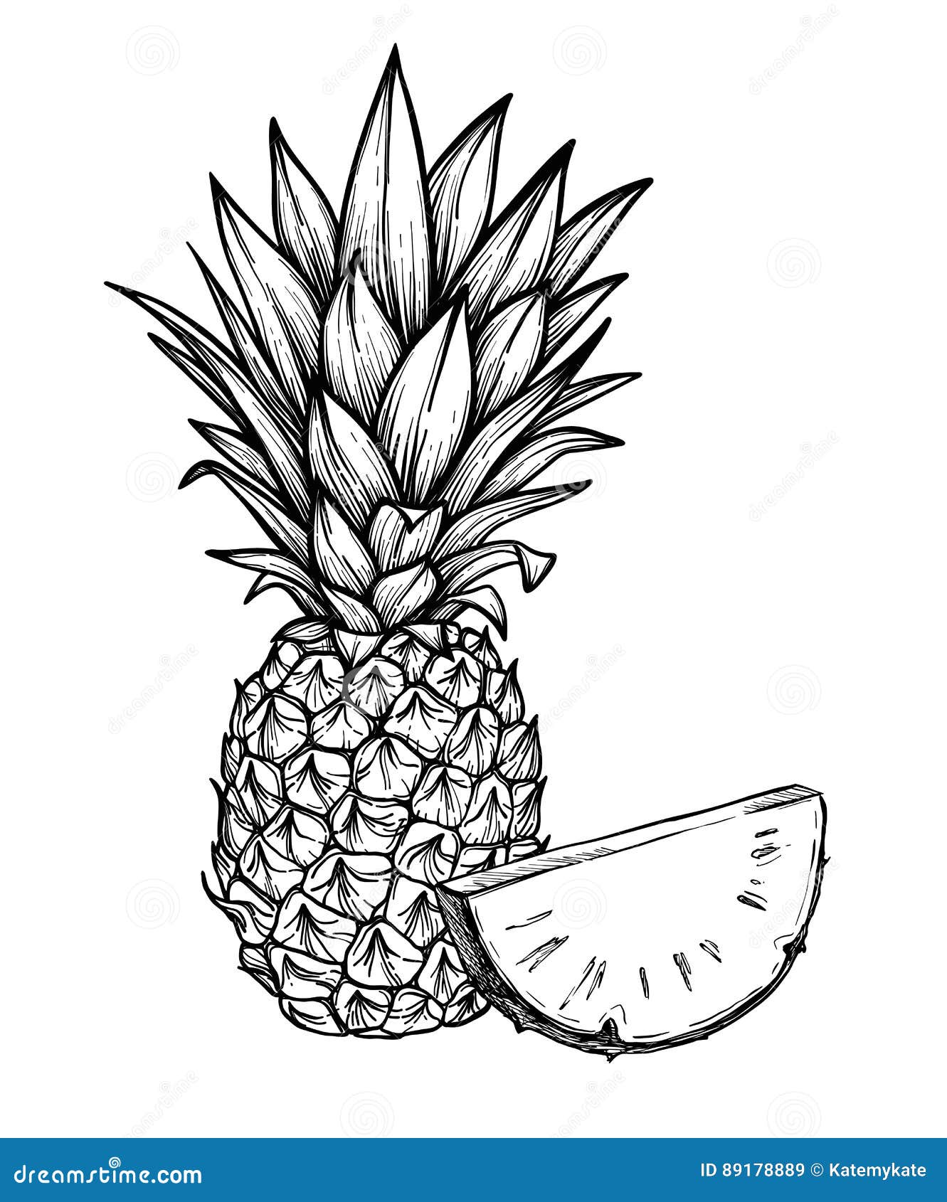 Sketch Of Various Fruits Stock Photo  RoyaltyFree  FreeImages