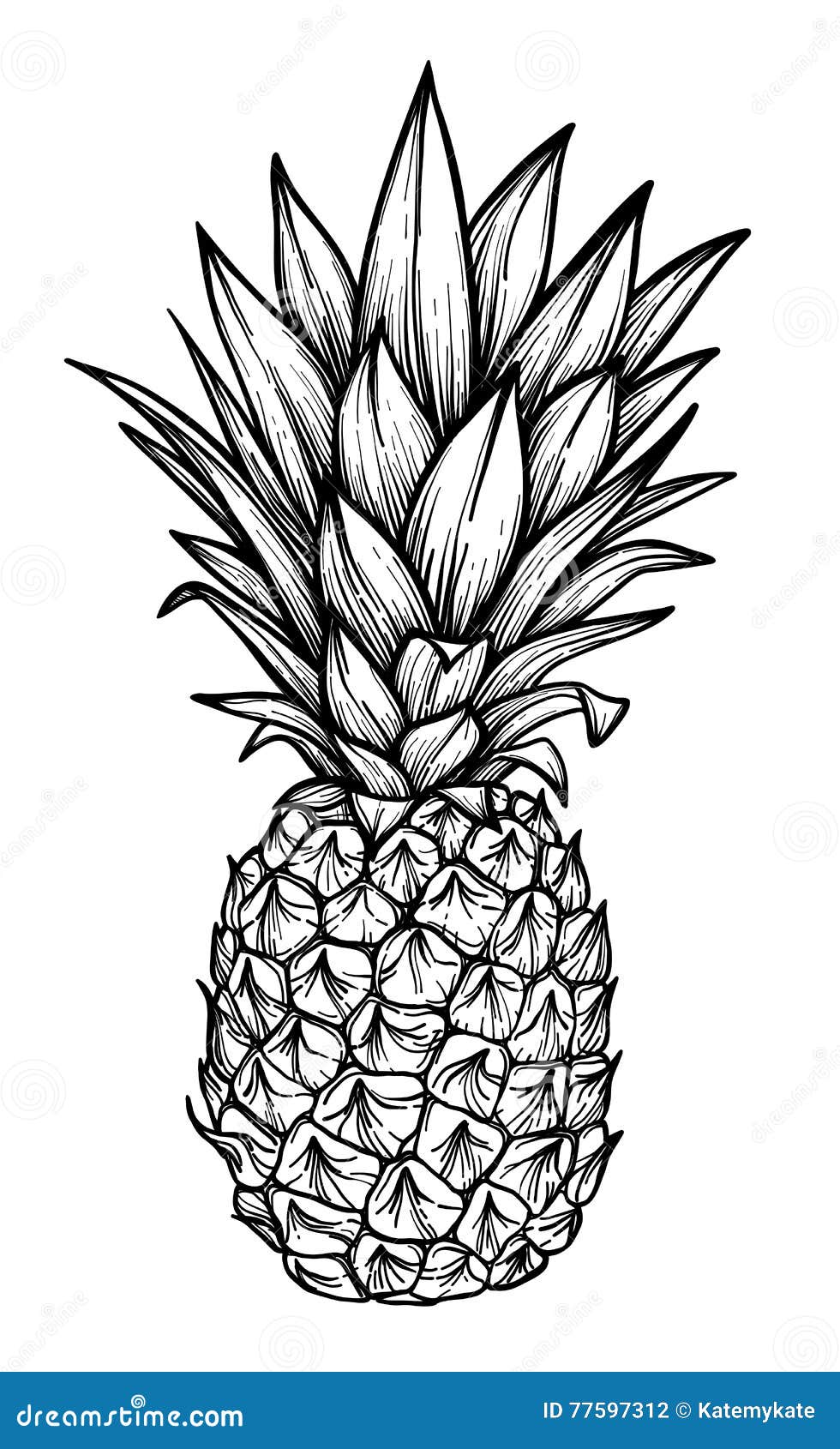 Hand Drawn Vector Illustration - Pineapple. Exotic Tropical Fruit. Sketch. Outline Stock Vector - Illustration of ananas, hand: 77597312 Hand Drawn Vector Illustration - Pineapple. Exotic Tropical Fruit. Sketch. Outline Stock Vector - Illustration of ananas, hand: 77597312