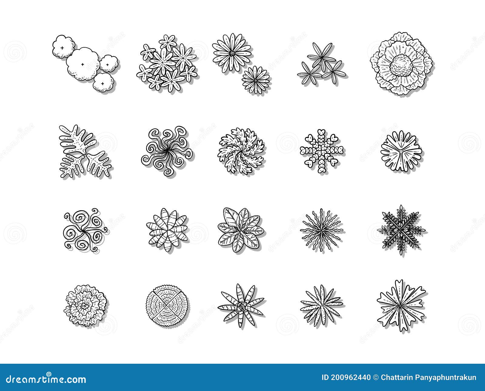 Hand Drawn Vector Illustration Set of Top View Tree Isolated on White ...