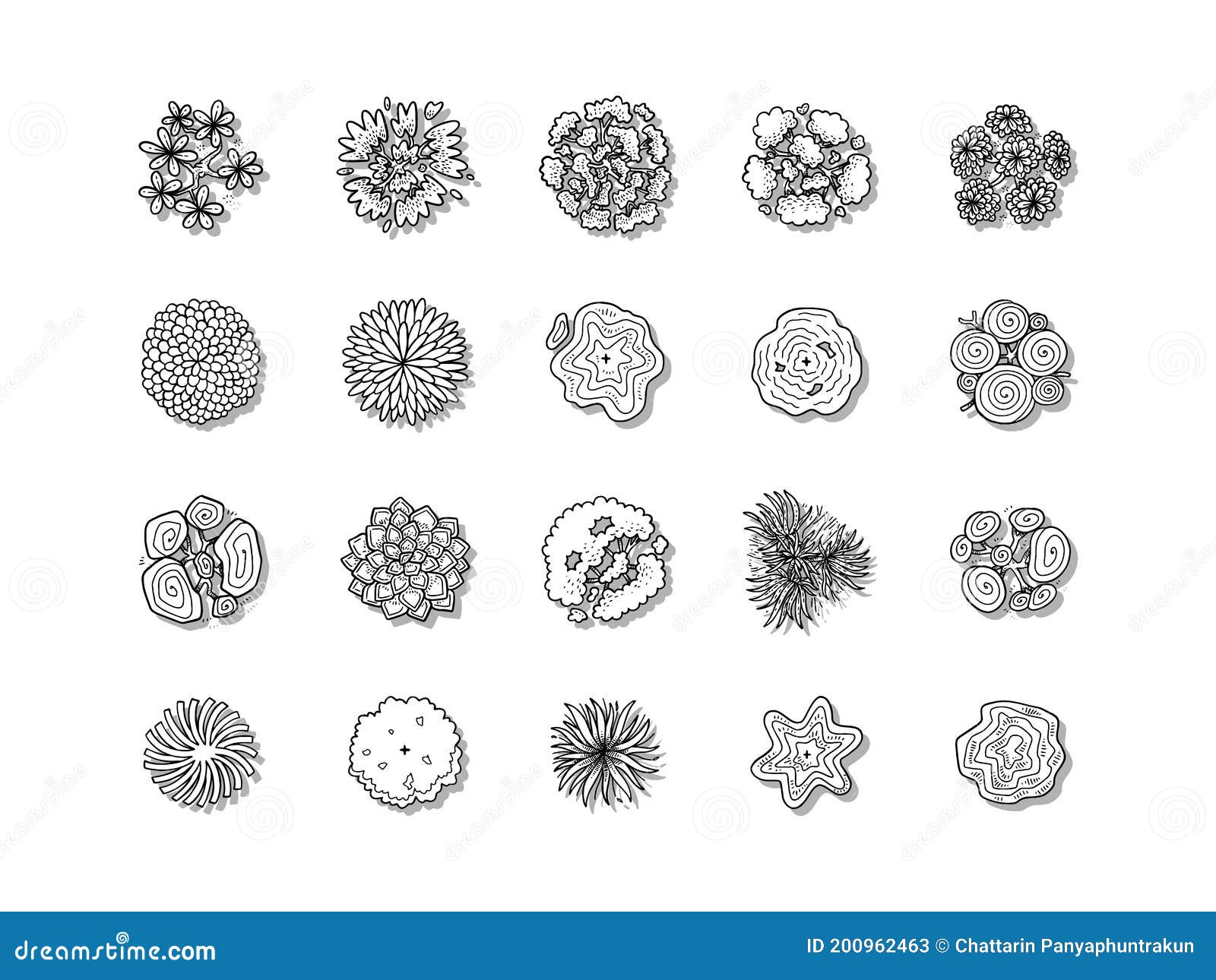 Hand Drawn Vector Illustration Set of Top View Tree Isolated on White ...