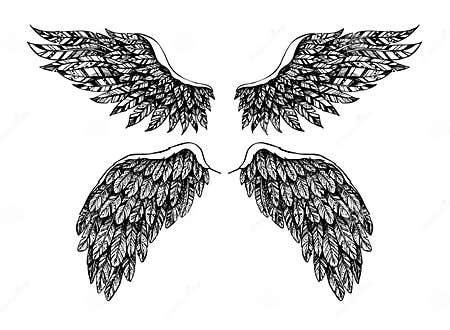 Hand Drawn Vector Illustration - Set of Wings. Angel and Demon Stock ...