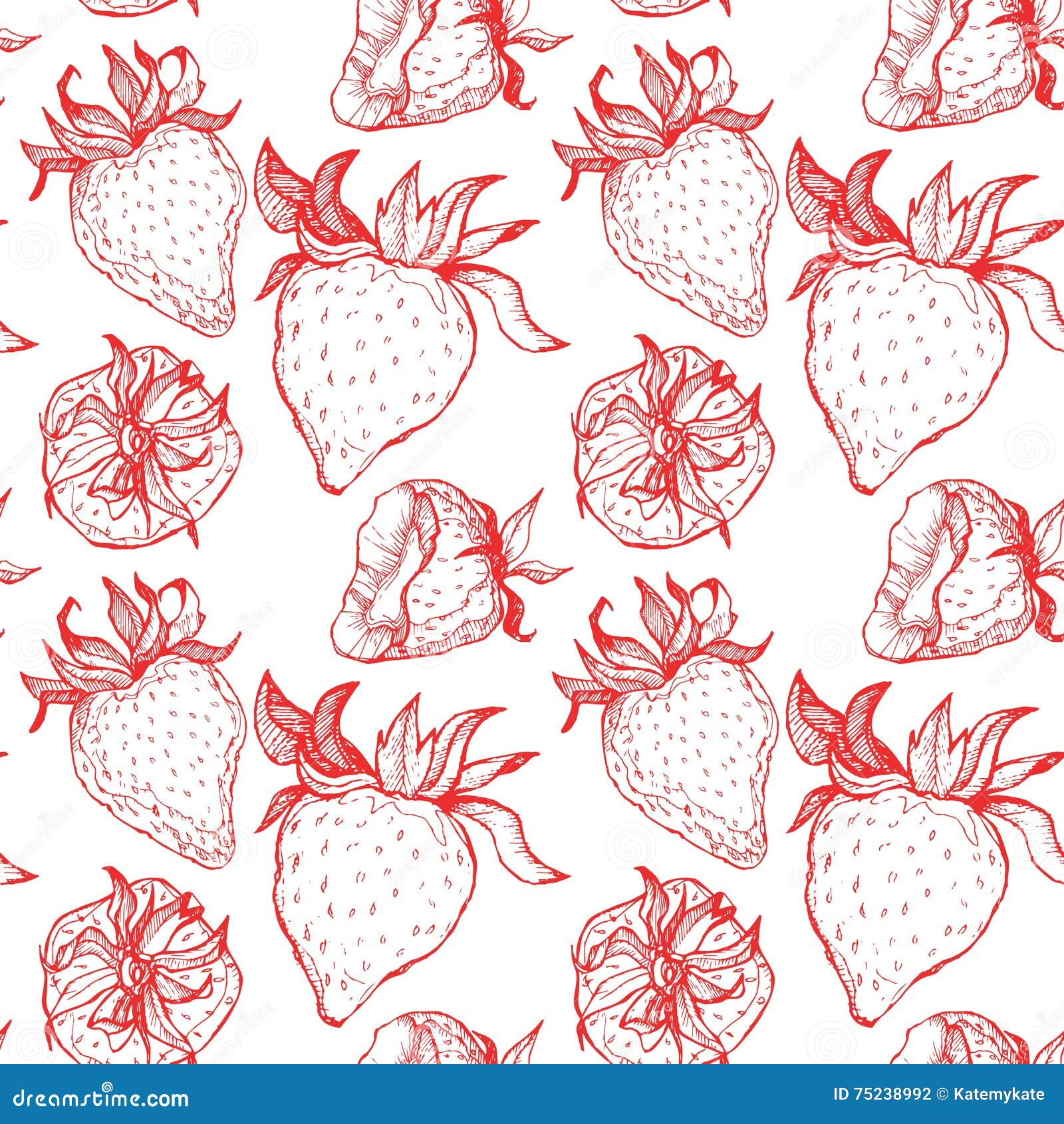 Illustration Of A Strawberry Plant, Featuring The Process Of Asexual