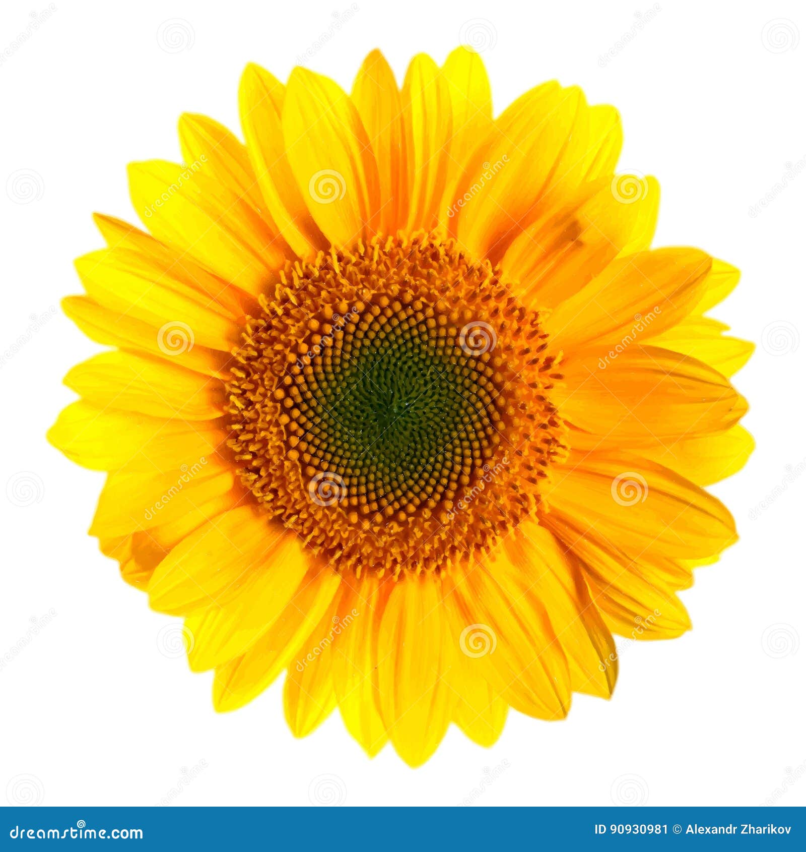 Free 161 Realistic Sunflower Svg SVG PNG EPS DXF File
