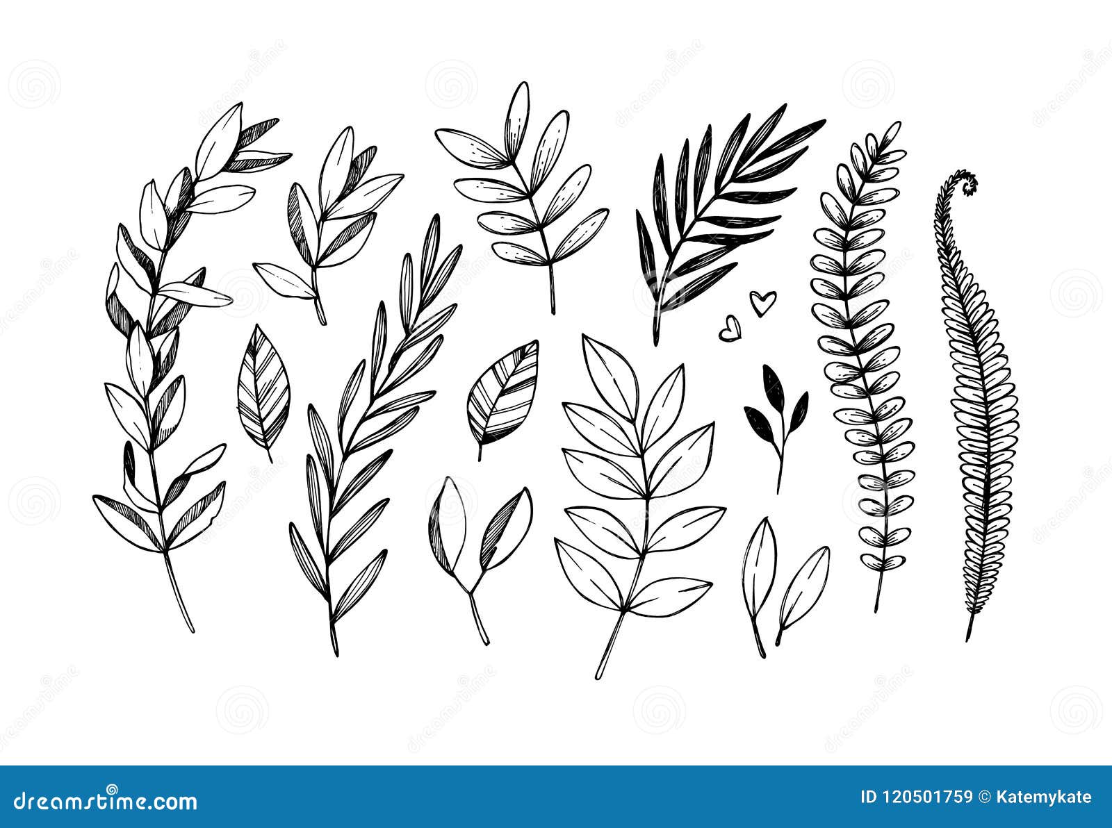 minimalist tattoo floral botanic line art herb and leaves vector  illustration Stock Vector Image & Art - Alamy