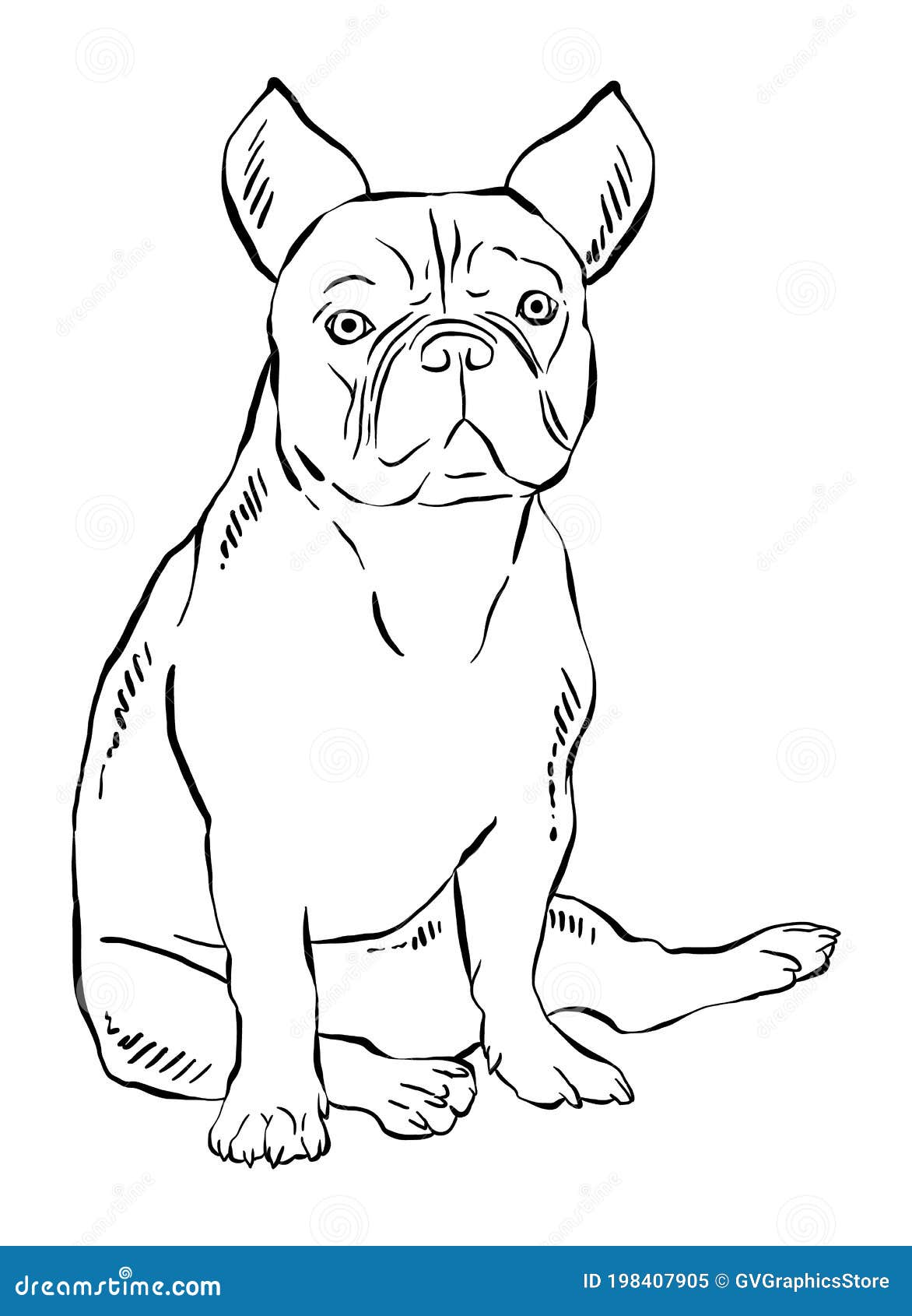 Hand Drawn Vector Illustrations of a Dog Stock Vector - Illustration of ...