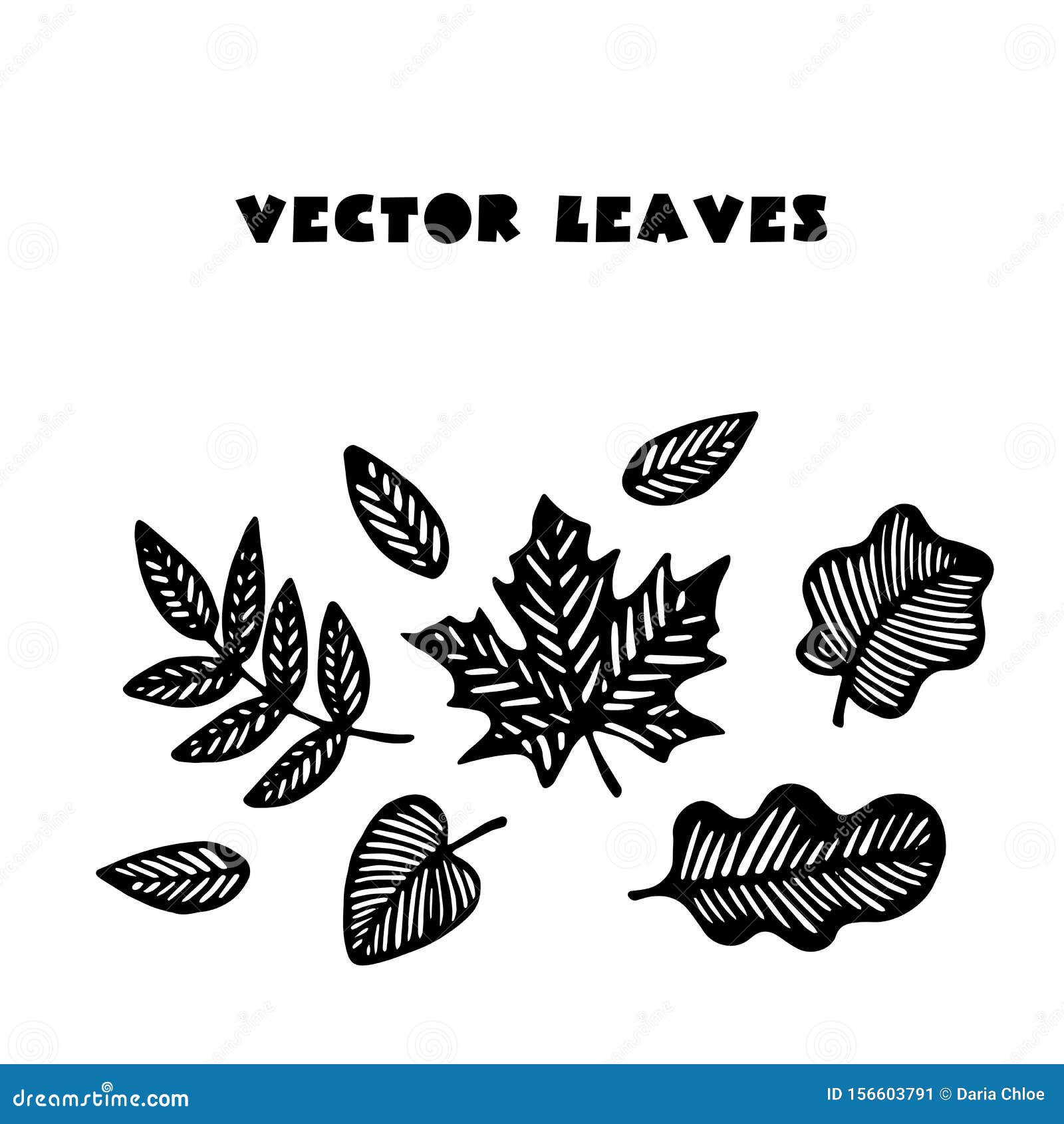 Hand Drawn Vector Leaves Stock Vector Illustration Of Botany 156603791