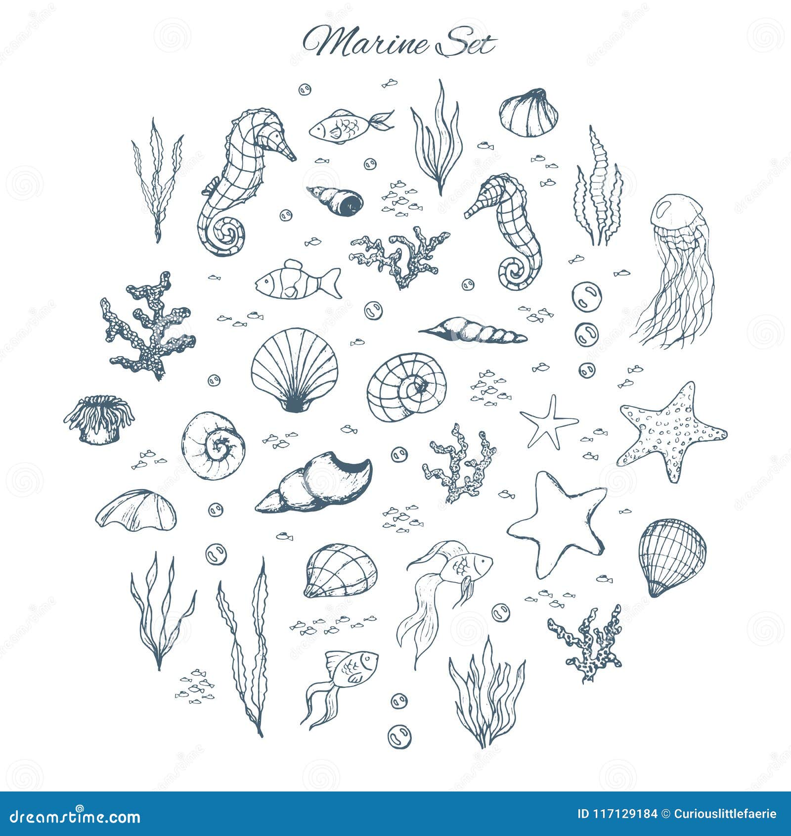 hand drawn  marine set with seahorses, shells, stars, seaweed, fish, coral and bubbles. sea creatures outline on the white