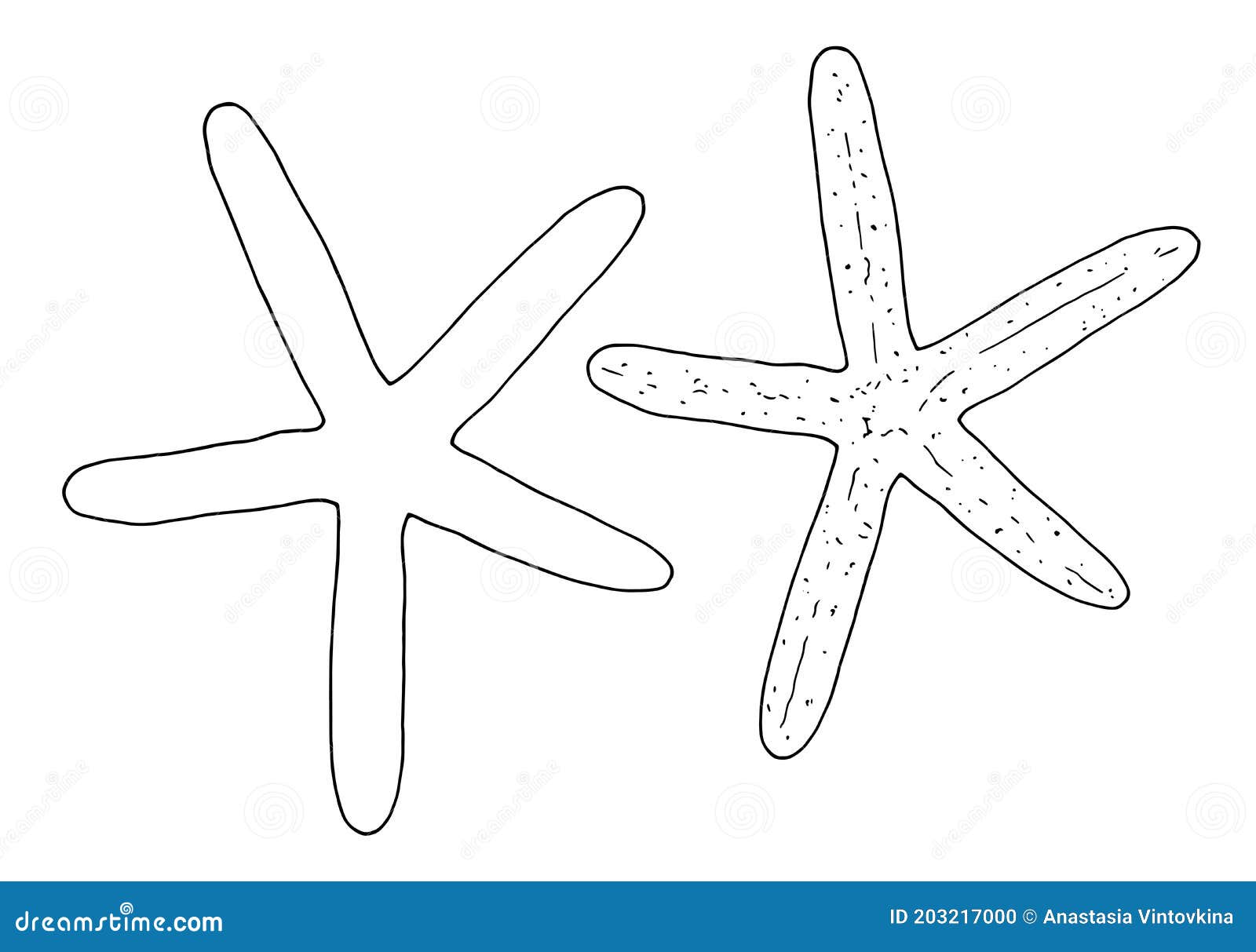 hand-drawn  outline of a black starfish.  of doodles of sea path. decorative black line of the starfish.