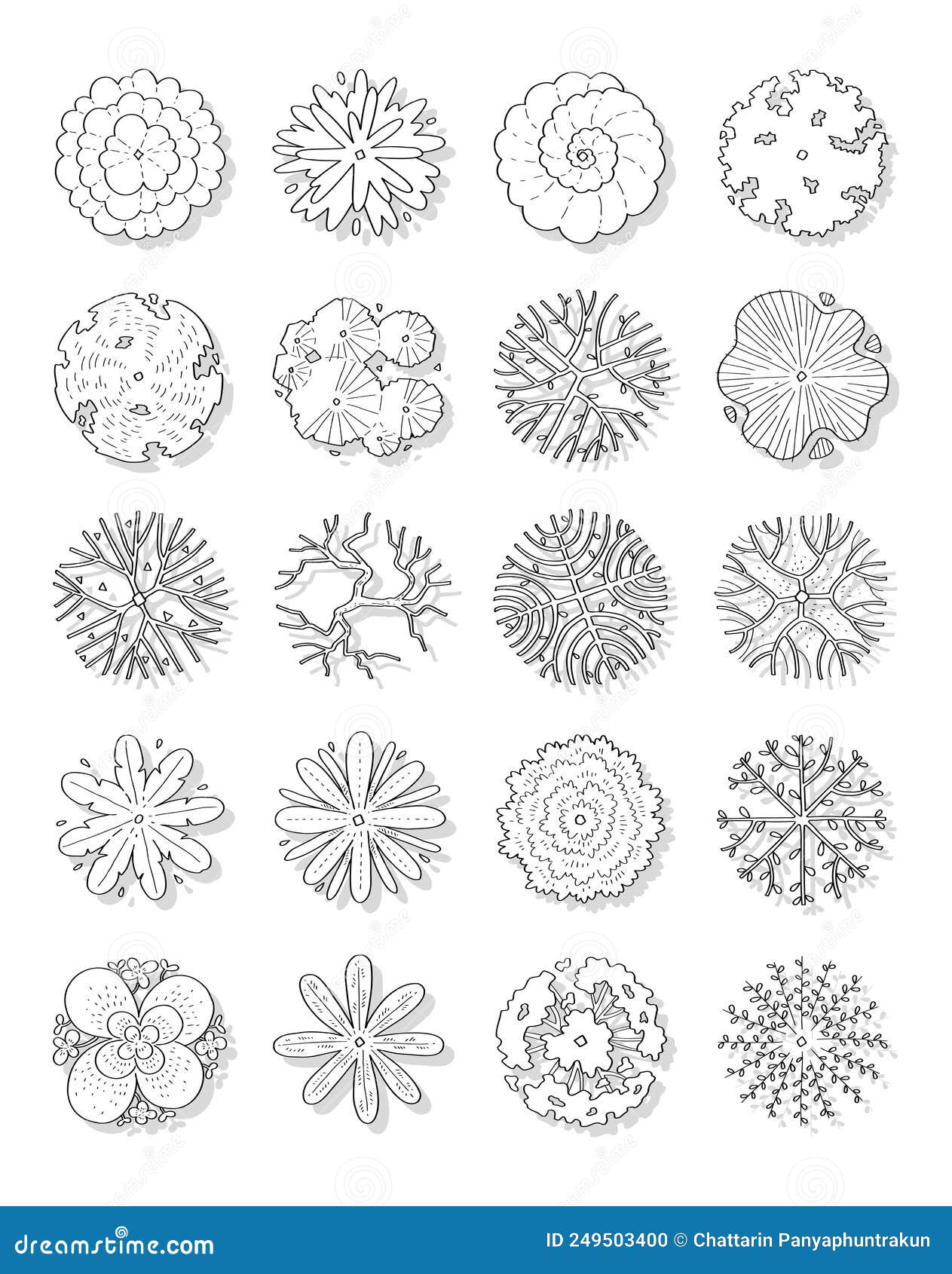 Hand Drawn Vector Set of Top View Trees Stock Illustration ...