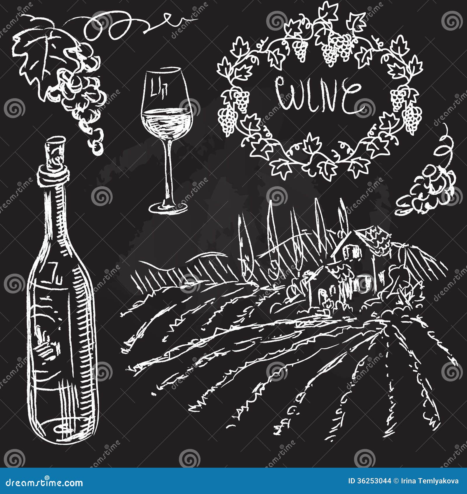 Hand Drawn Vector Set Wine and Winemaking Stock Vector Illustration