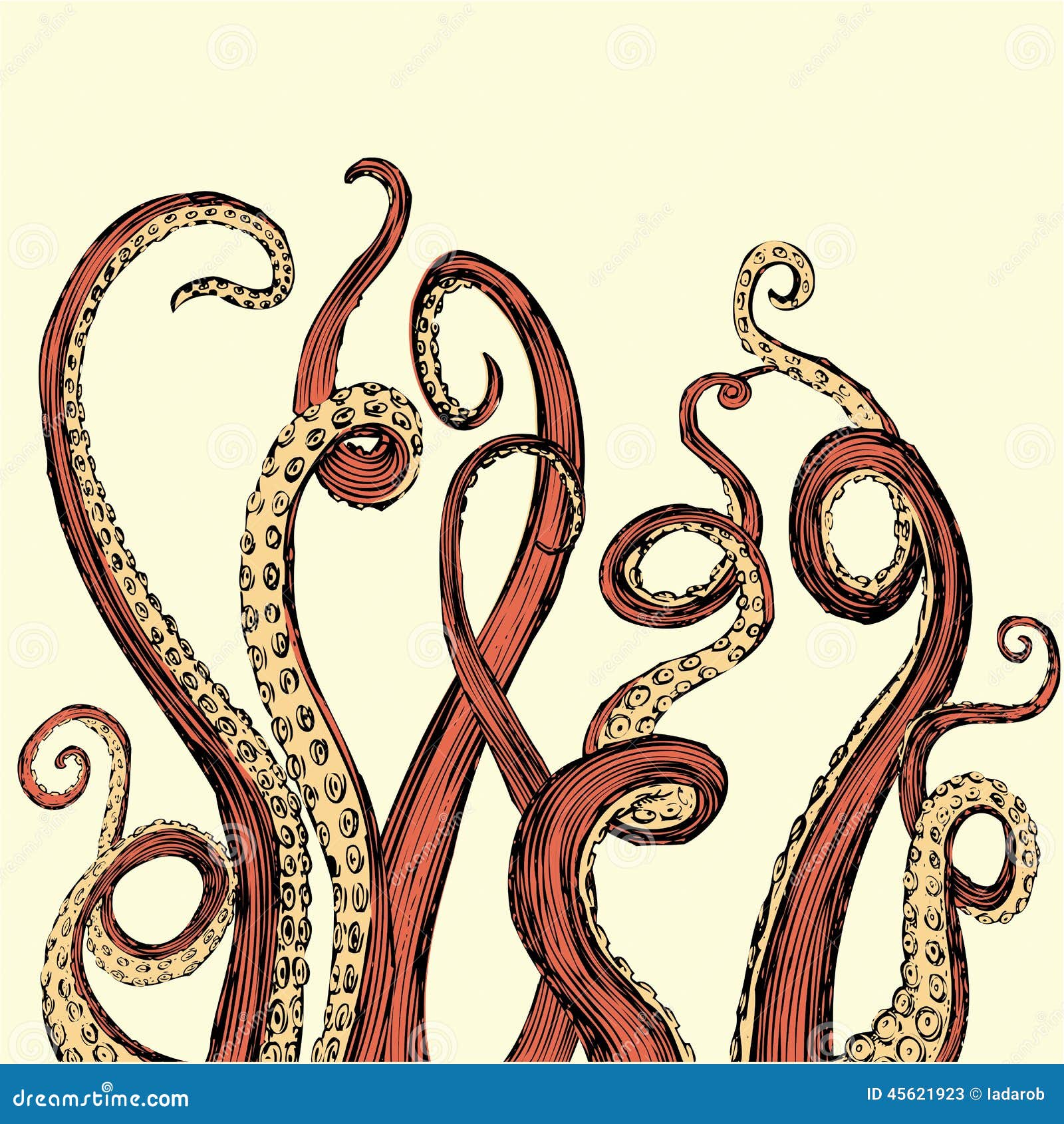 How To Draw Squid Tentacles