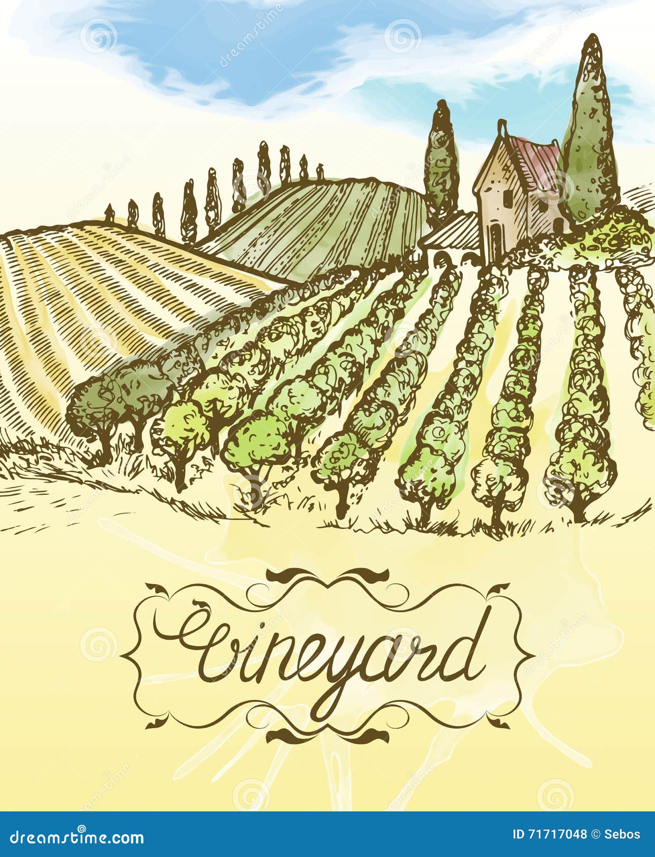 vineyard sketch