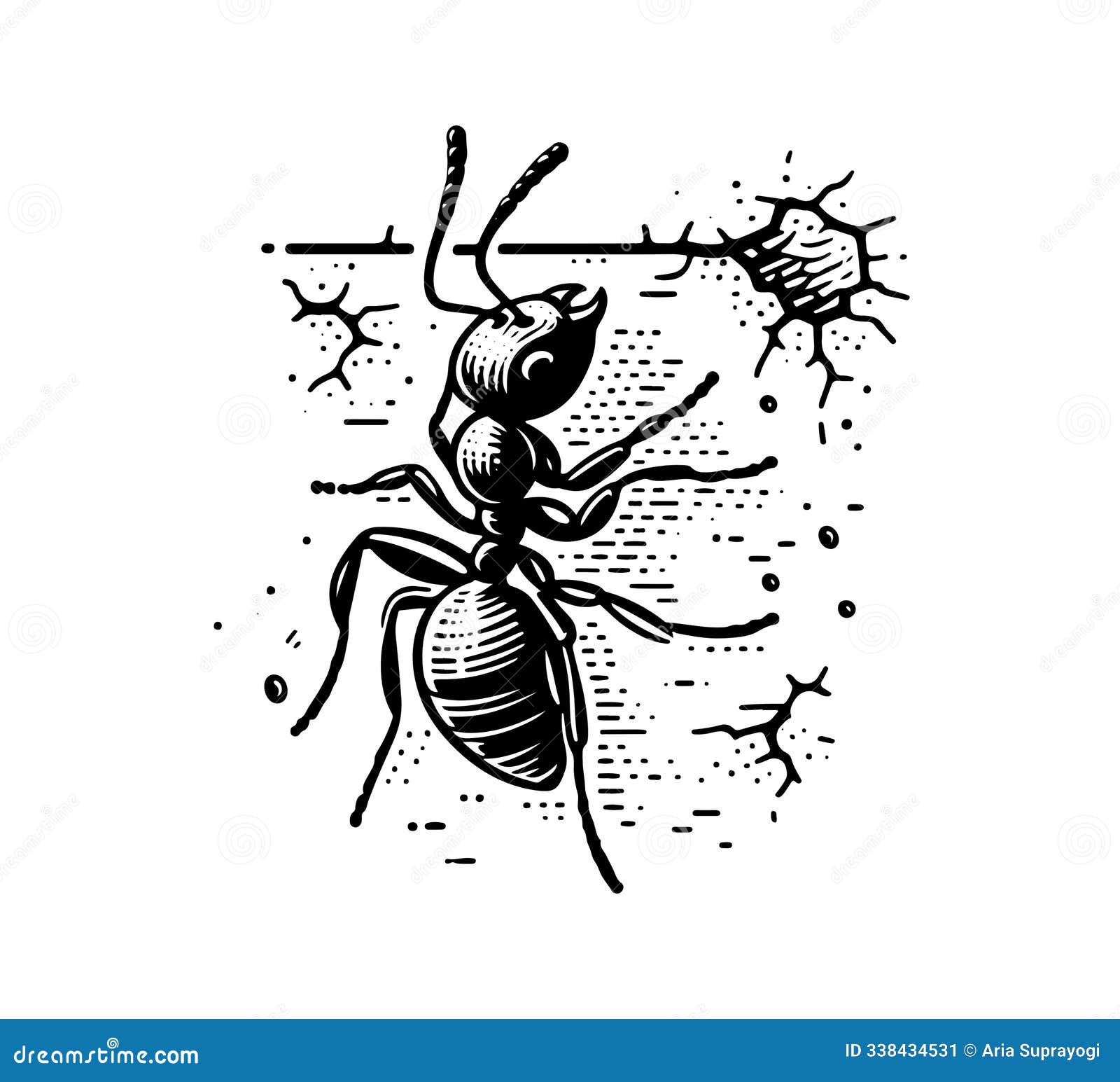 carpenter ant hand drawn  vintage