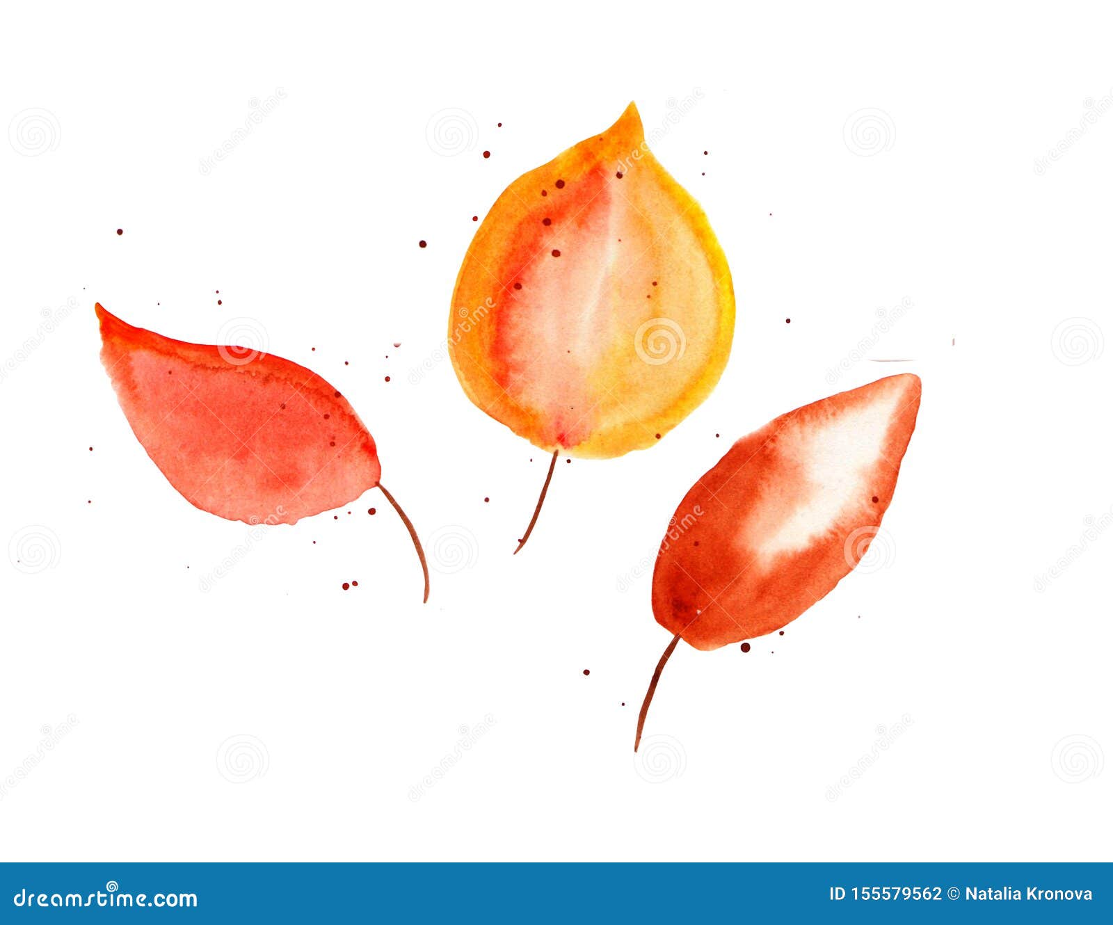 Hand Drawn Watercolor Illustration. Autumn Botanical ...