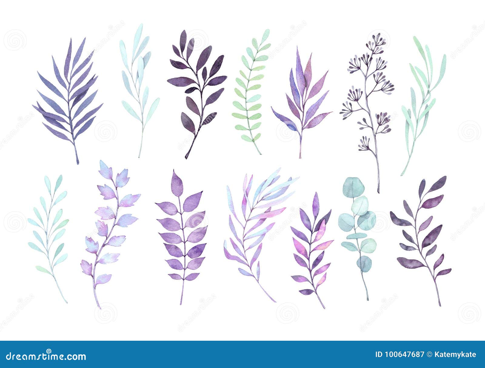 hand drawn watercolor s. autumn botanical clipart. s