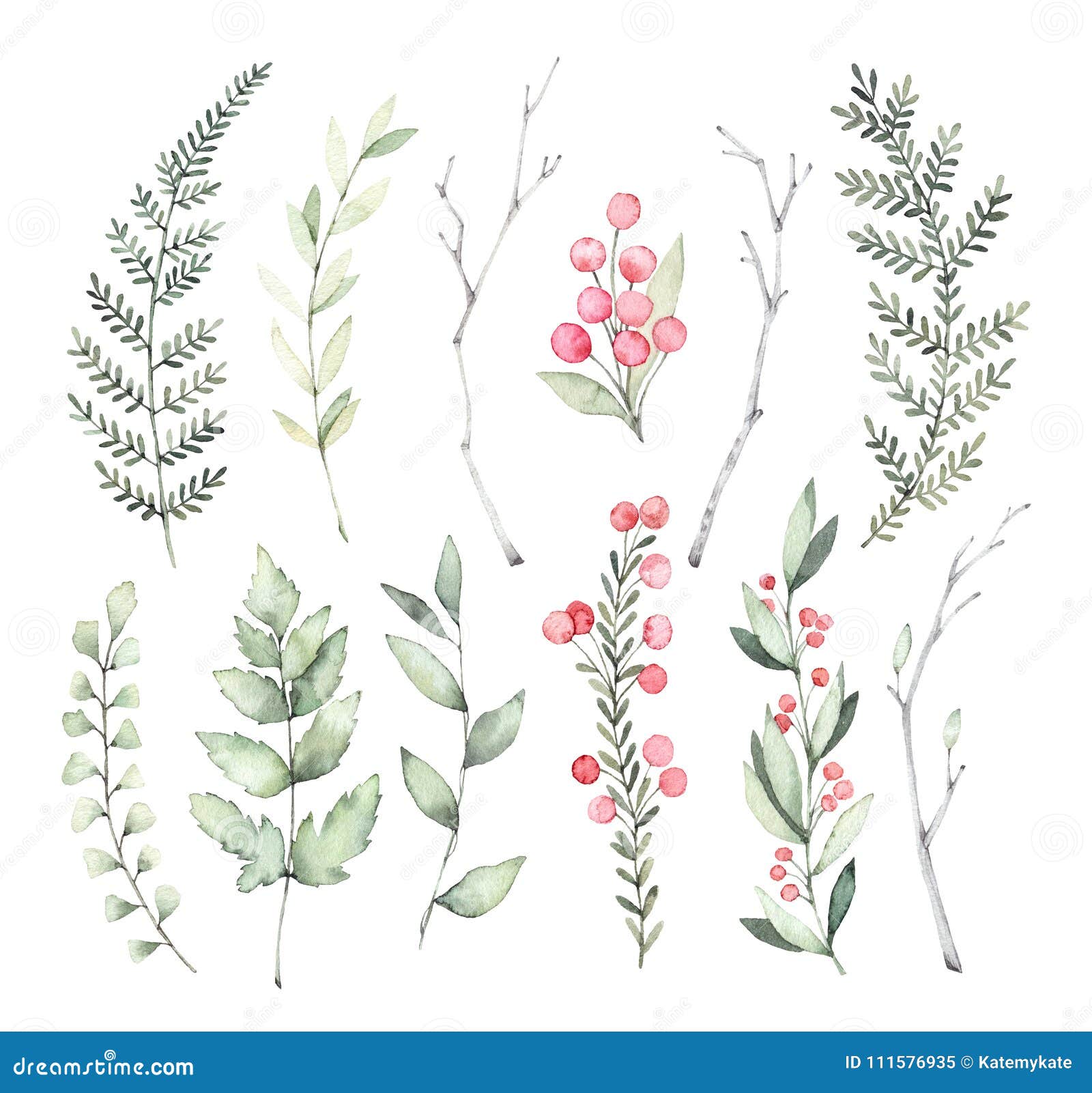 Download Hand Drawn Watercolor Illustrations Botanical Clipart Set Of G Stock Illustration Illustration Of Label Herbs 111576935