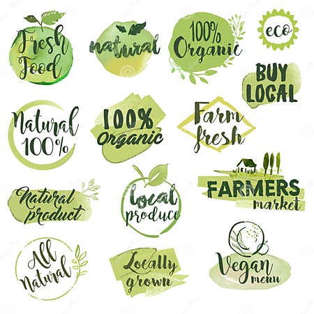 Hand Drawn Watercolor Labels and Badges for Organic Food Stock Vector ...