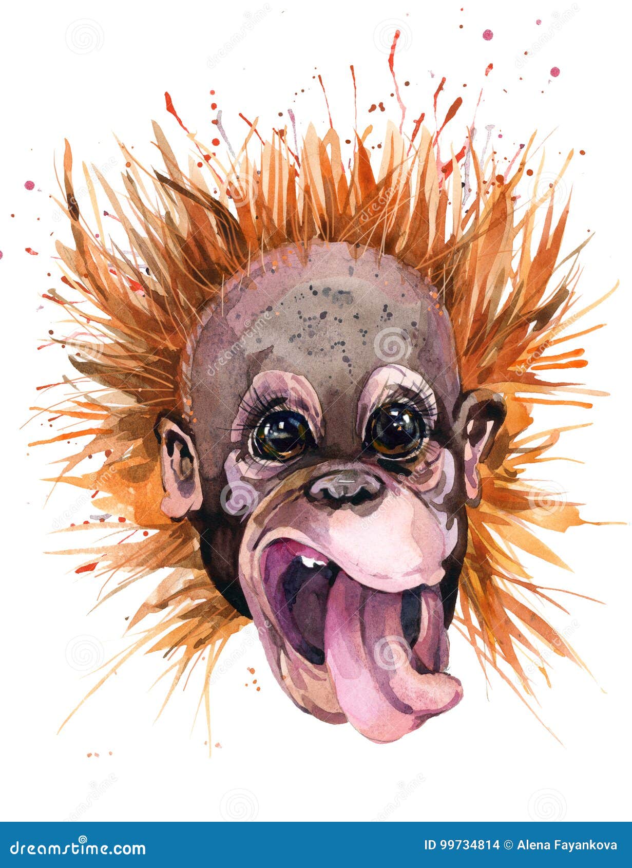  Orangutan  Stock Illustrations 1 590 Orangutan  Stock 
