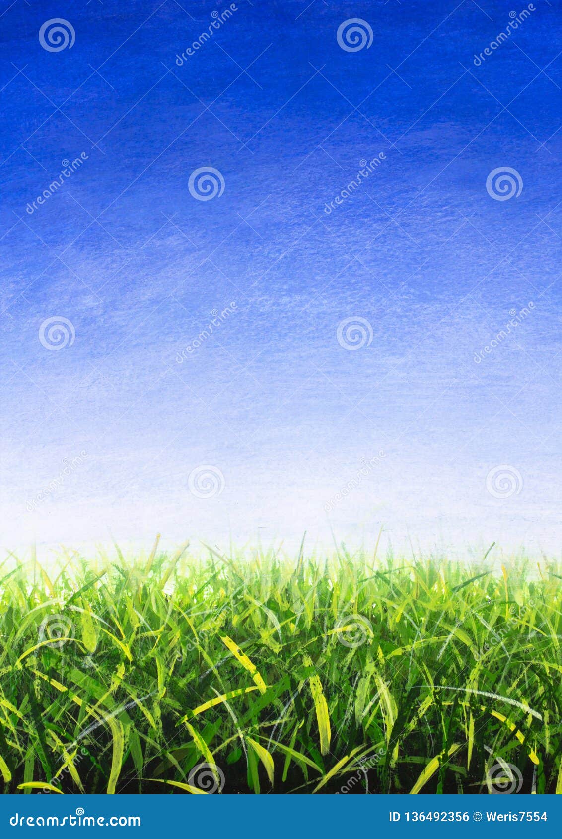 Fresh Spring Green Grass Blue Sky Natural Background Oil Painting Stock Illustration Illustration Of Spring Drawn