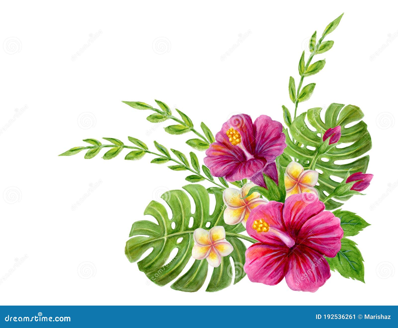 hand drawn watercolor painting with pink chinese hibiscus rose, plumeria flowers, monstera palm leaf and palm fronds  