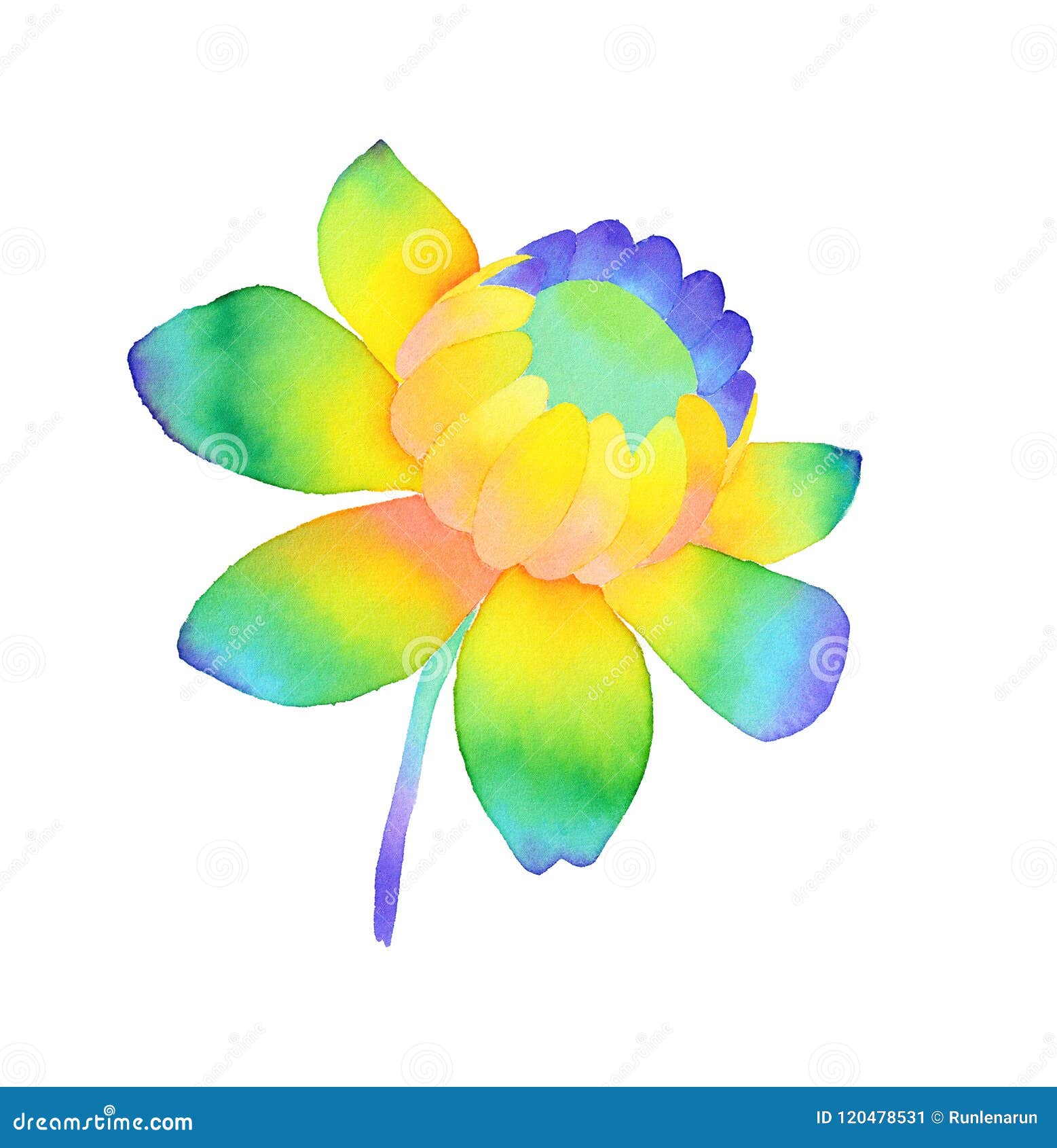 Hand Drawn Watercolor Rainbow Flower Illustration Stock Illustration ...