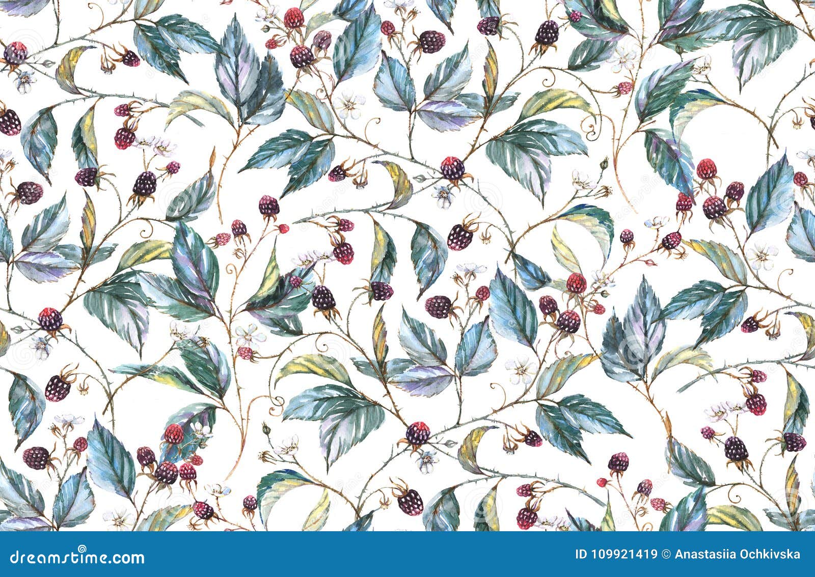 hand-drawn watercolor seamless pattern with natural motives: blackberry branches, leaves and berries