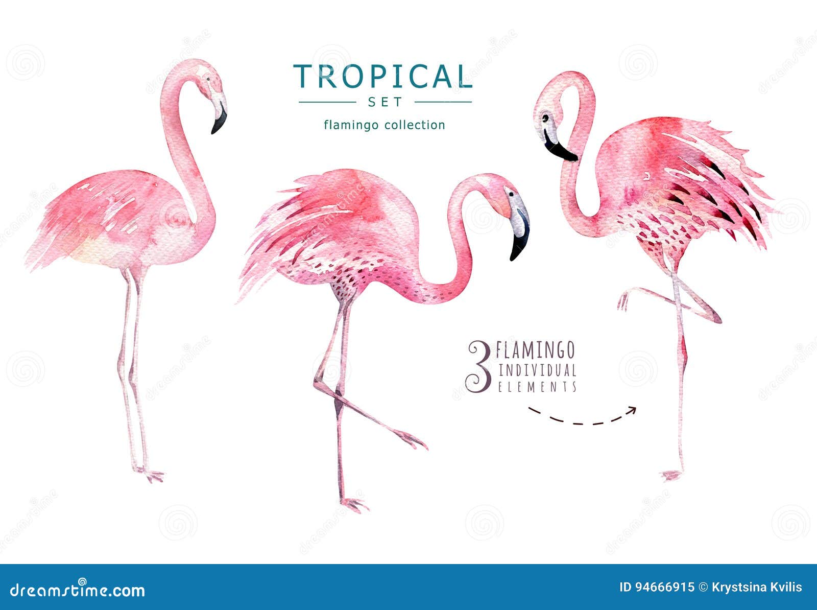3 Pack - Flamingo Jungle