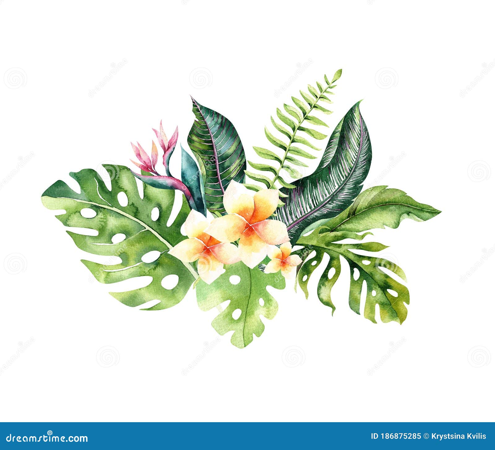 hand drawn watercolor tropical flower bouquets. exotic palm leaves, jungle tree, brazil tropic botany s and
