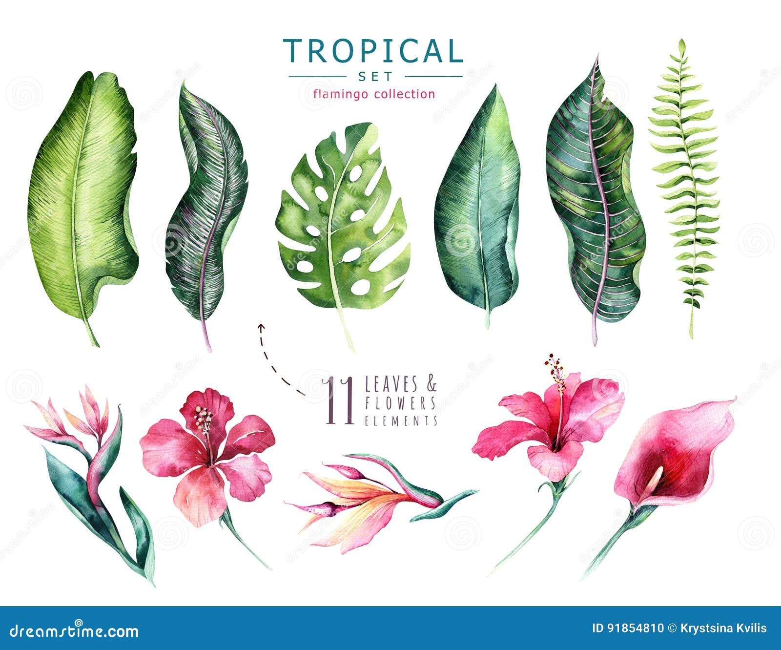 hand drawn watercolor tropical plants set . exotic palm leaves, jungle tree, brazil tropic botany s and flowers