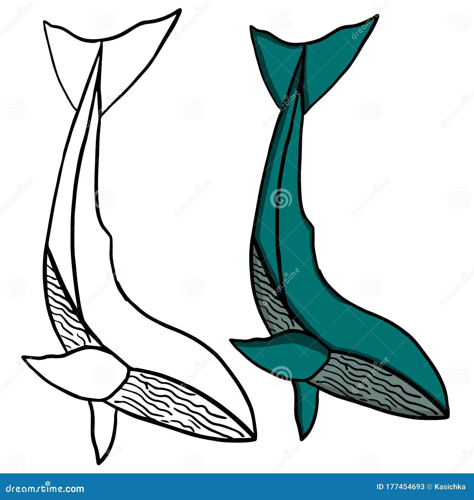 Download Whale Shark Outline Vector Sketch Stock Illustration ...