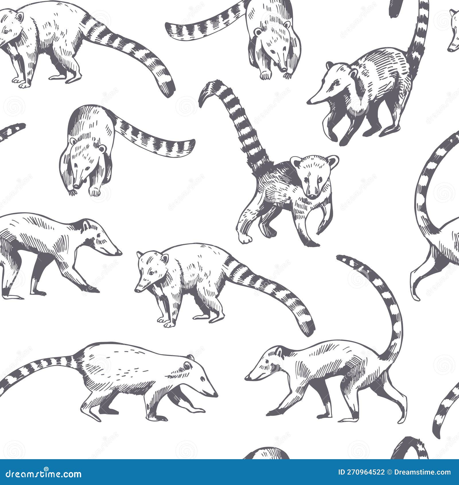 Coati Icon Vector Isolated On White Background, Coati Sign