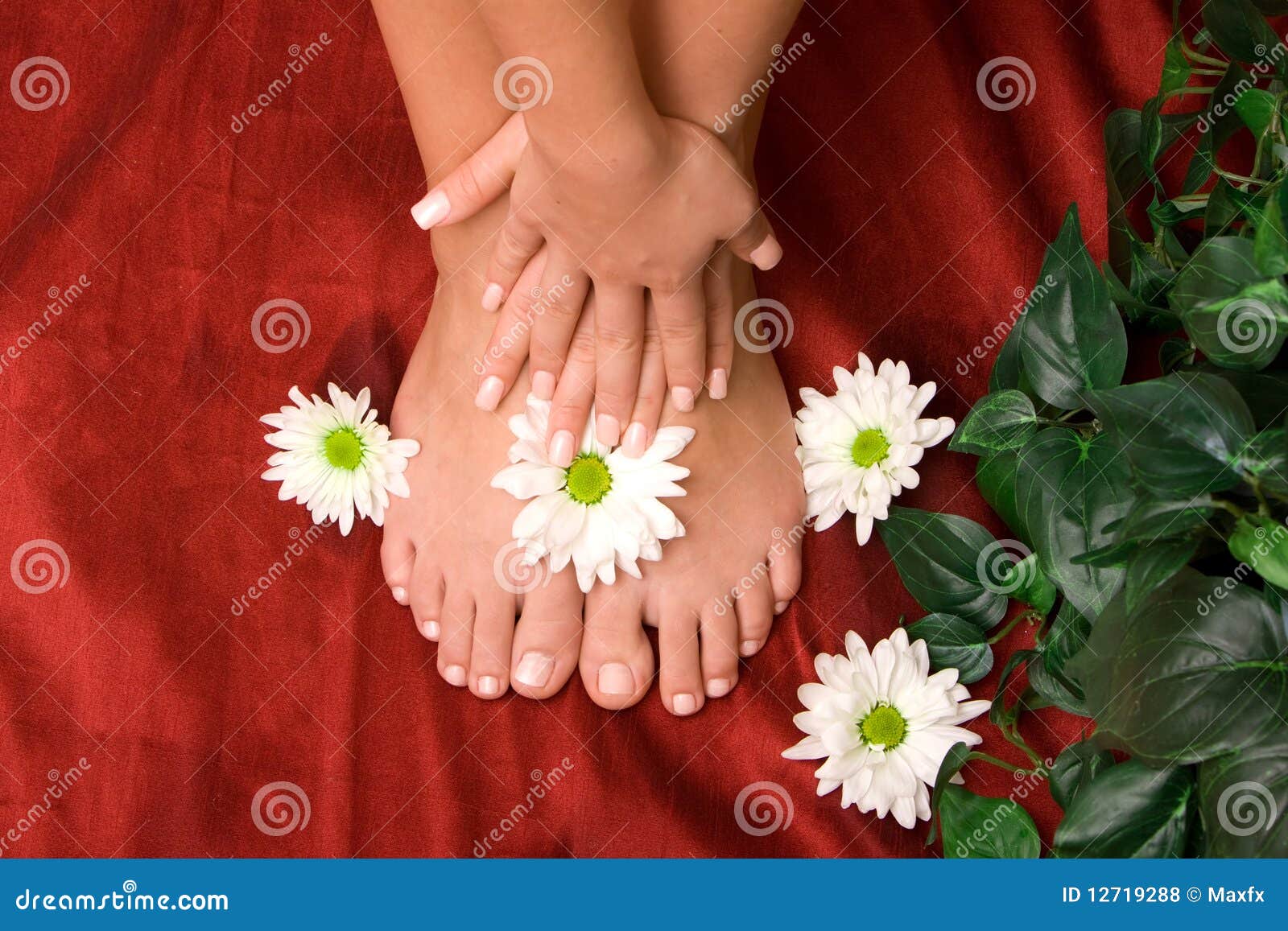 Hand and feet care stock photo. Image of gerbera, wellbeing 12719288