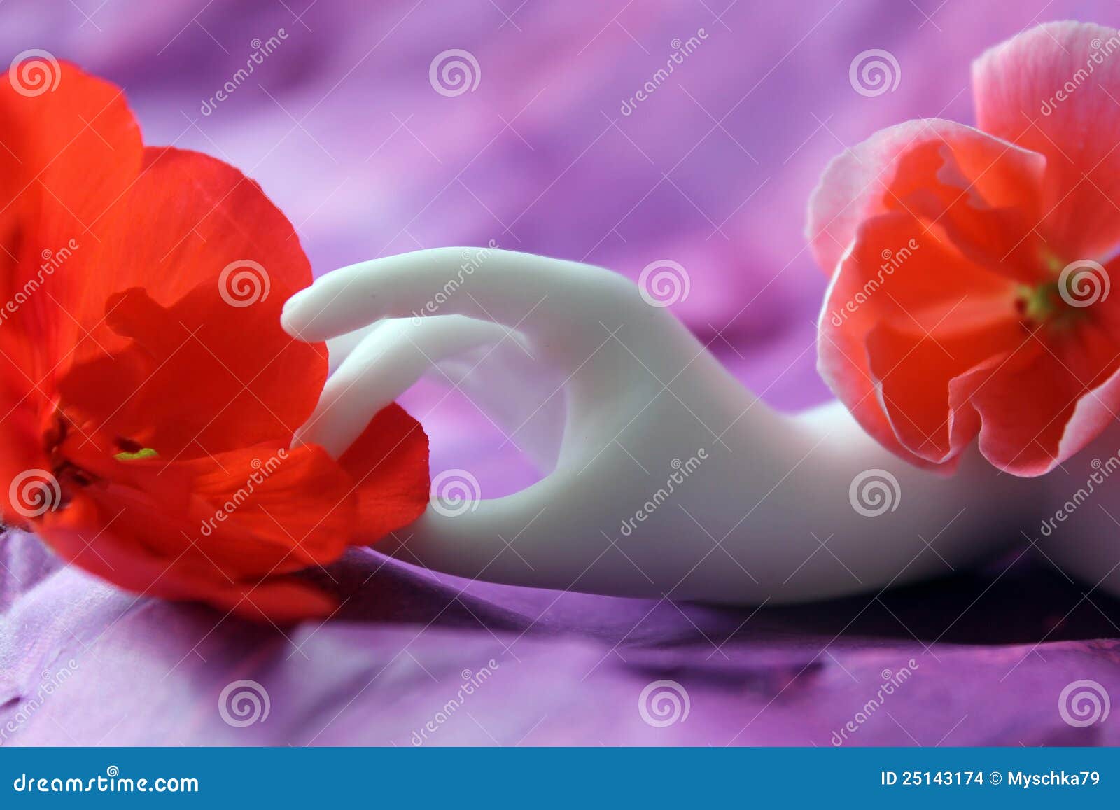 Hand and Flowers stock photo. Image of gesture, idea 25143174