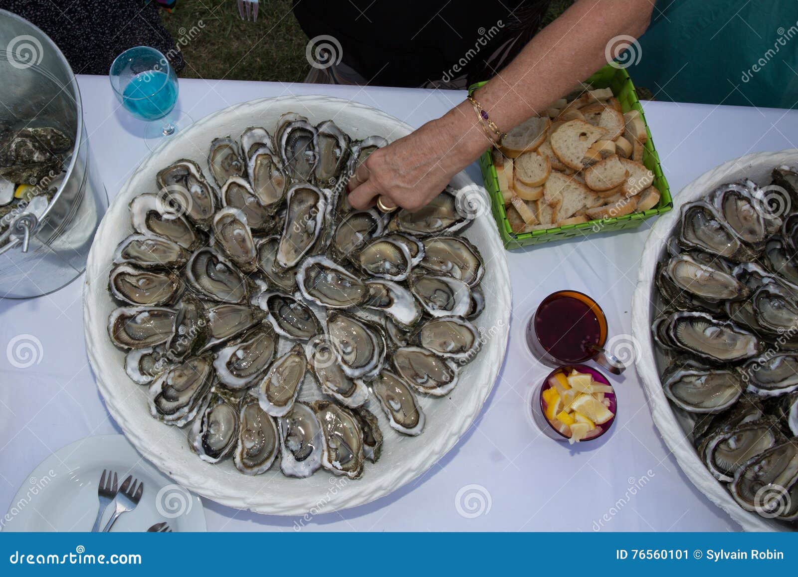 Hand On Fresh Shucked Oysters With Served As Appetizer RoyaltyFree