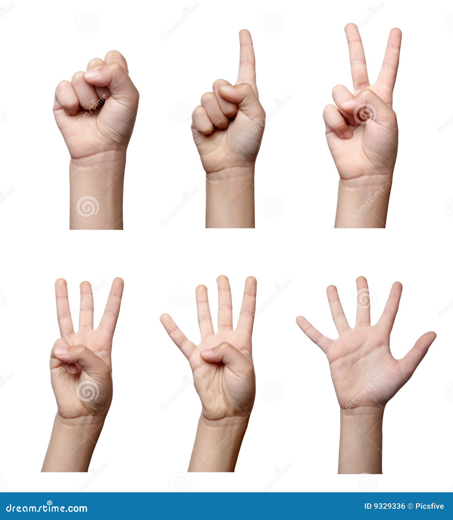  Hand  gesture  body  language  stock photo Image of 