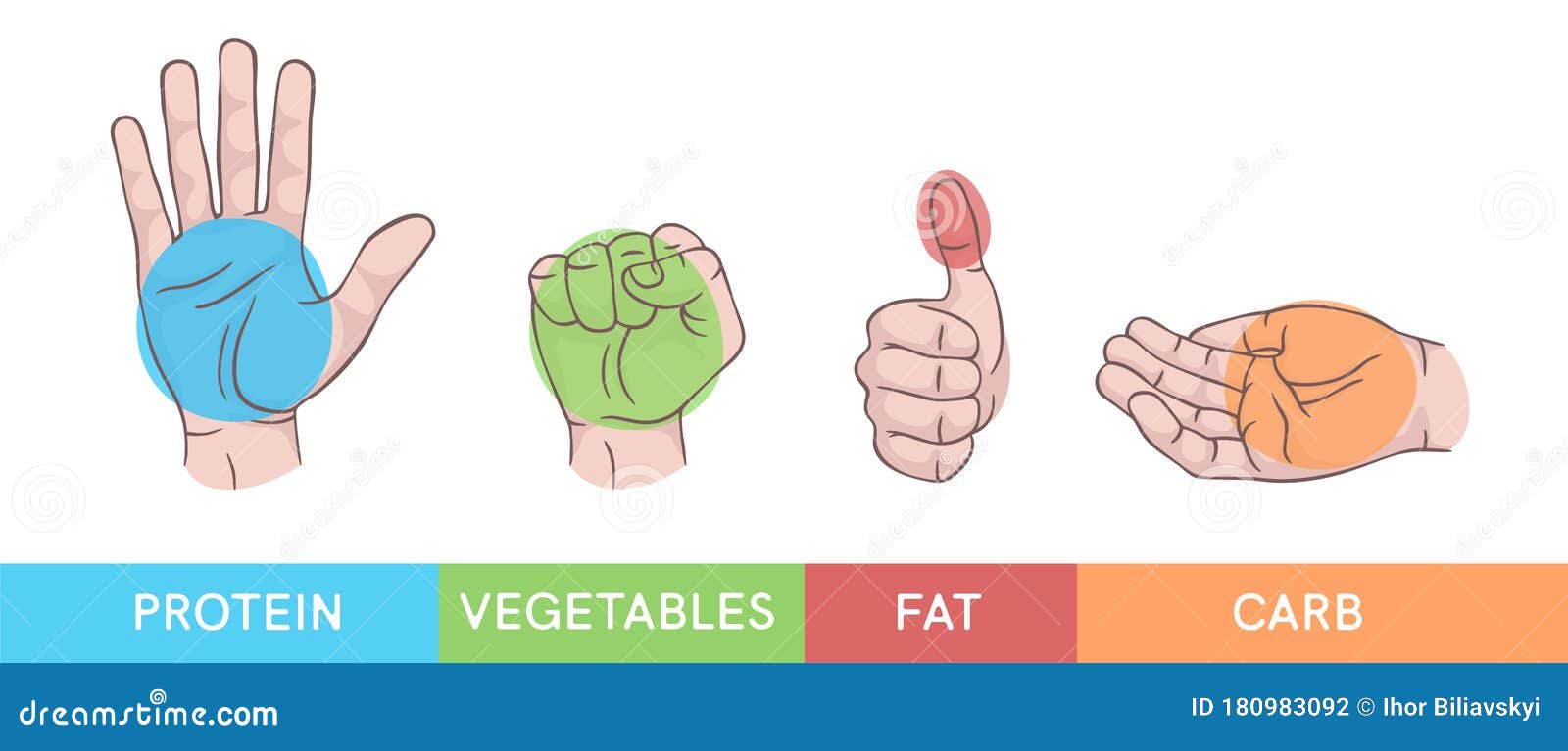 hand gestures set . palm, fist, thumb up, cupped hand. portions of food. infographic. modern beautiful style. realistic.