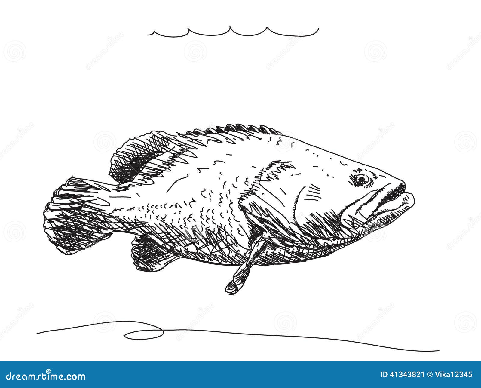 Hand Gezeichnete Fische Vektor Abbildung - Bild: 41343821