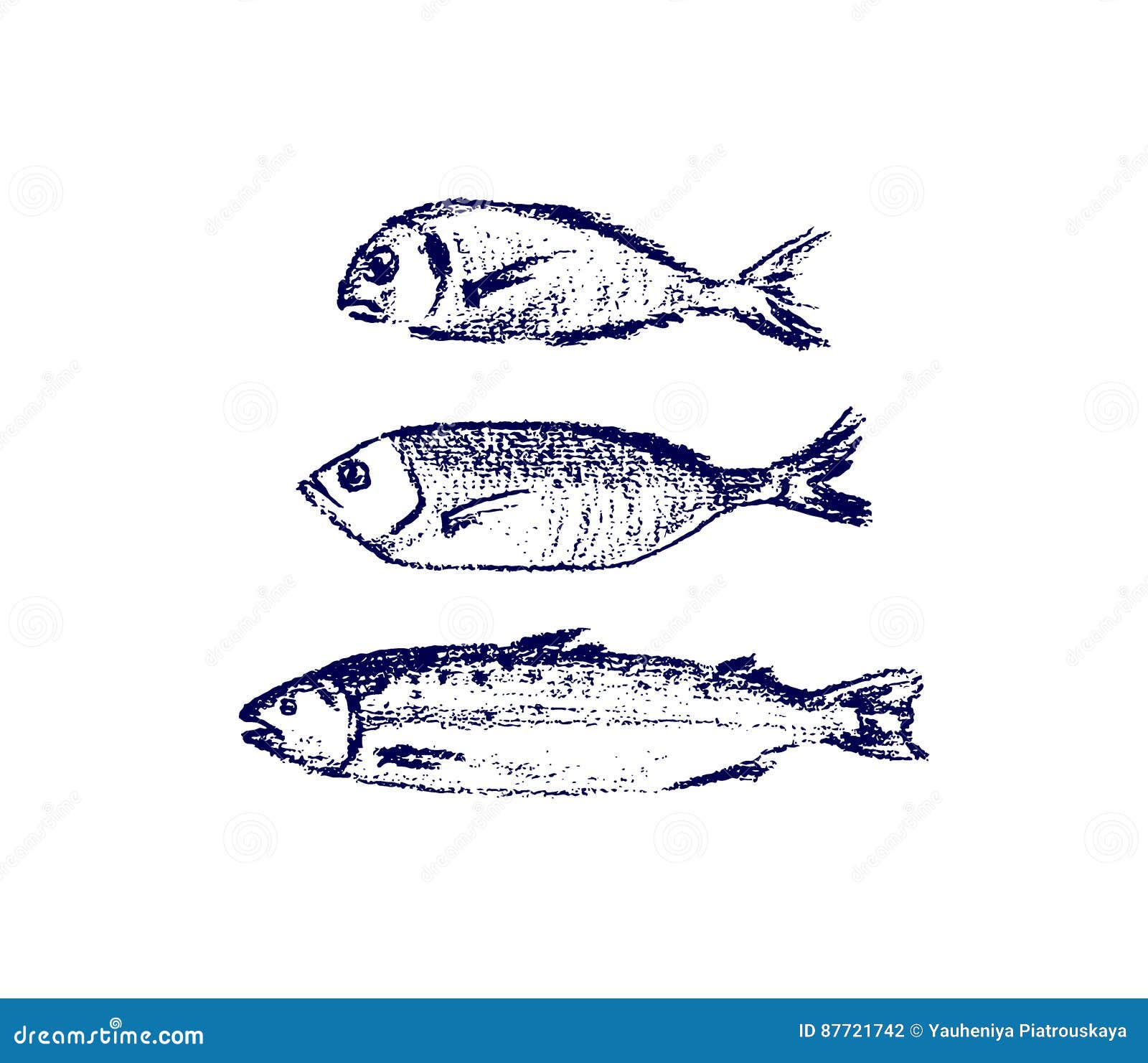 Hand gezeichnete Fische vektor abbildung. Illustration von flosse
