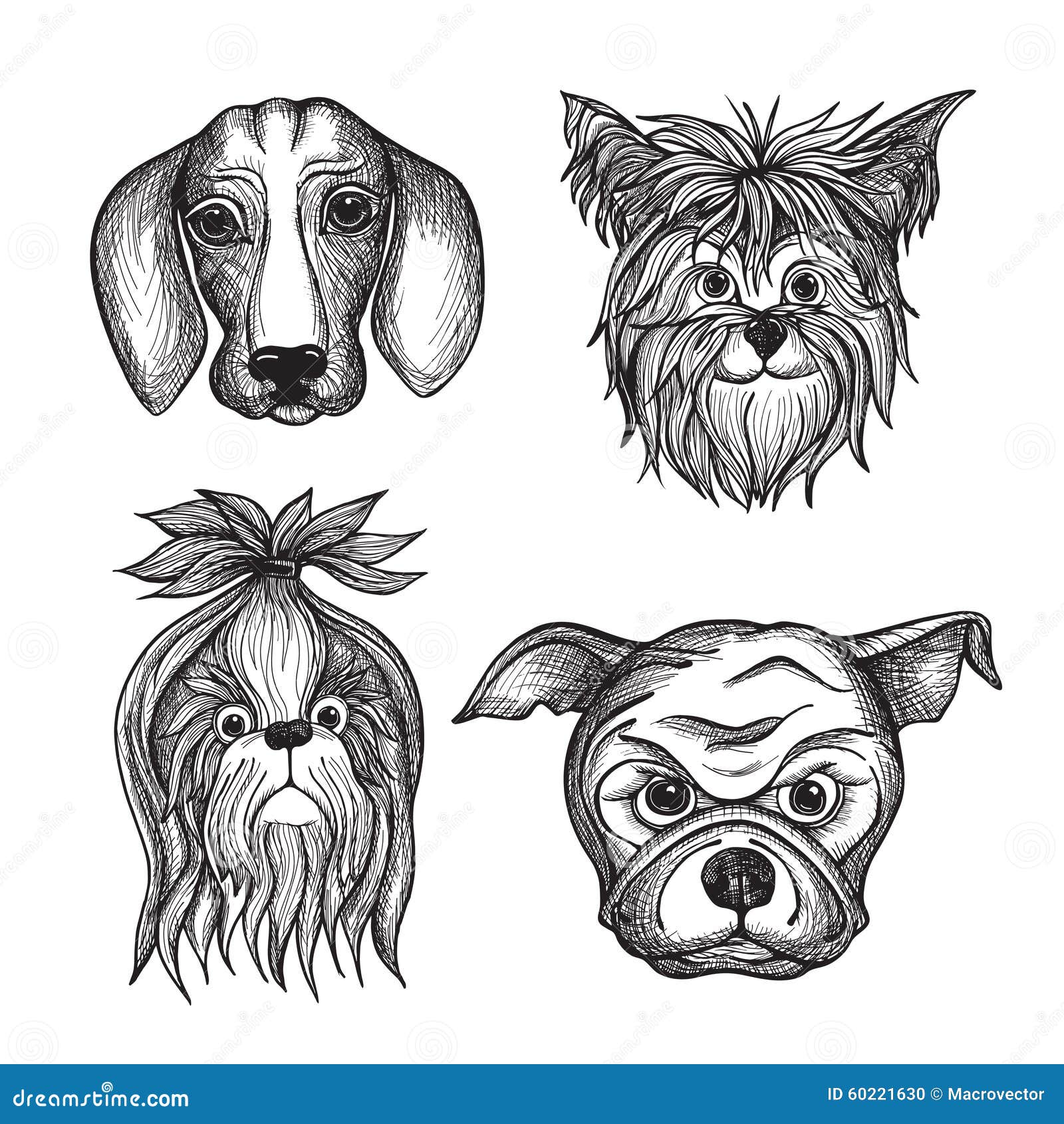 Hand Gezeichnete Hundegesichter Eingestellt Vektor Abbildung