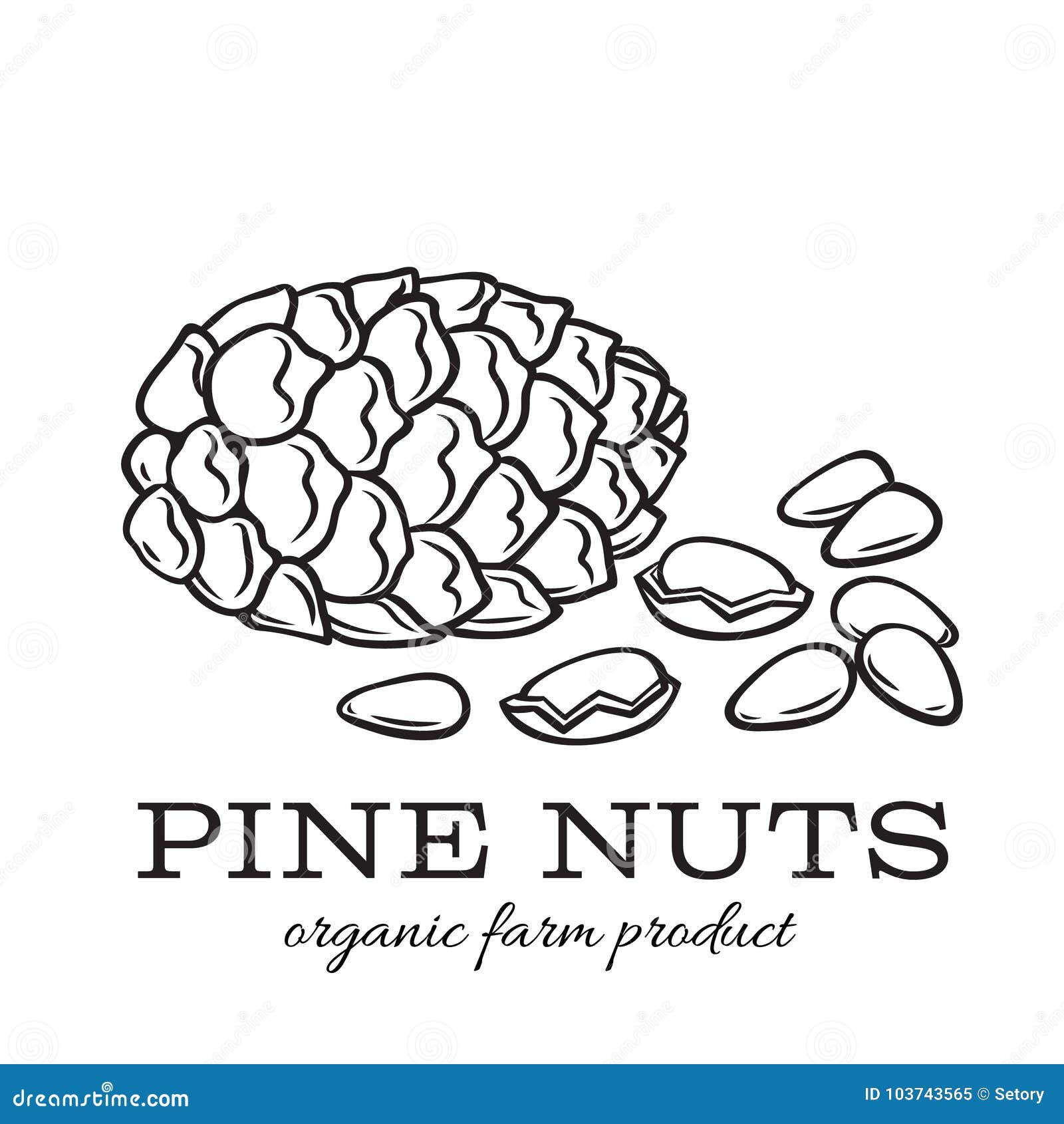 Кедровый орех логотип