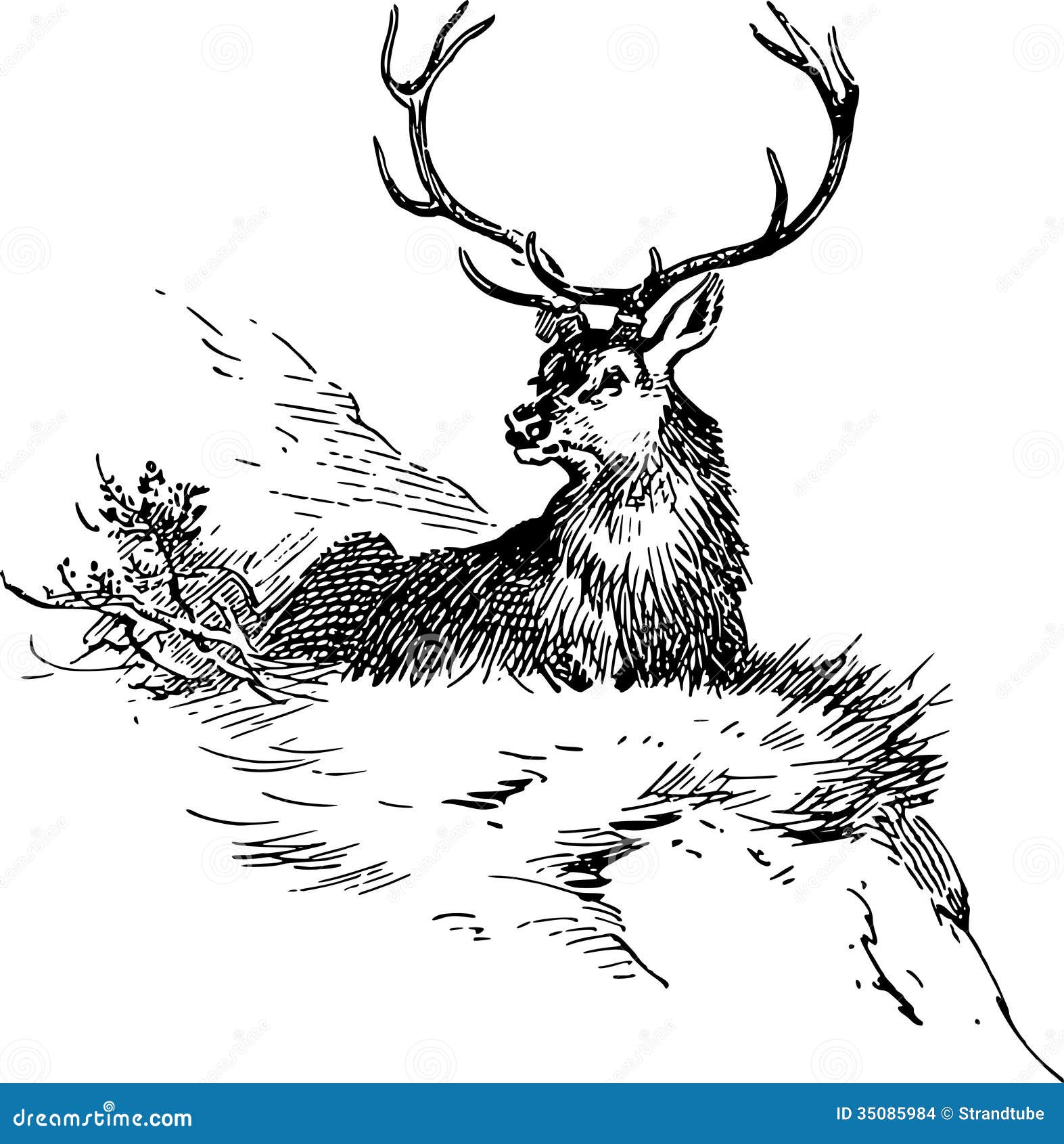 Hand Rotwild stock abbildung. Illustration von