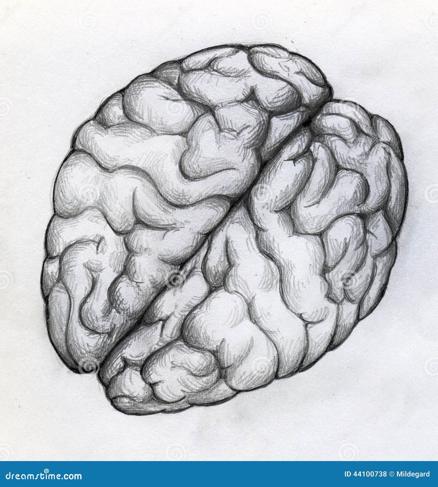 Мозг с ручками