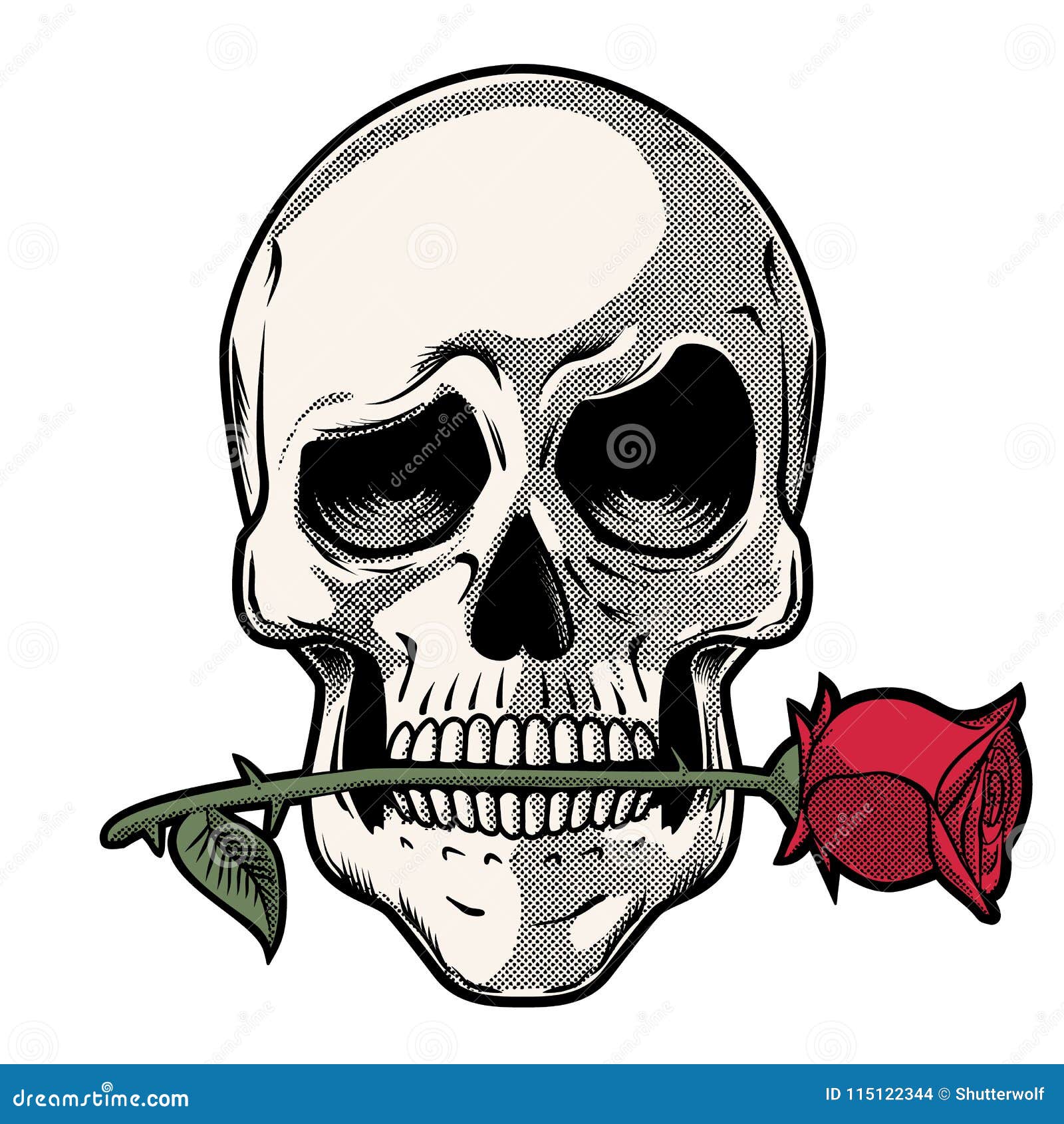 Hand Gezeichneter Schadel Mit Einer Rose Vektor Abbildung Illustration Von Bezaubern Faszinieren 115122344