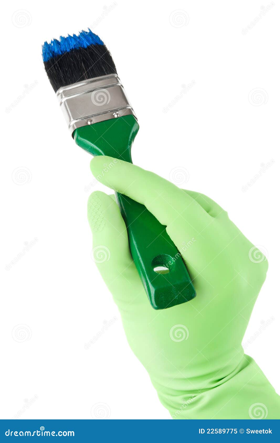 Hand in Glove Holding Brush with Paint Stock Image Image of blue