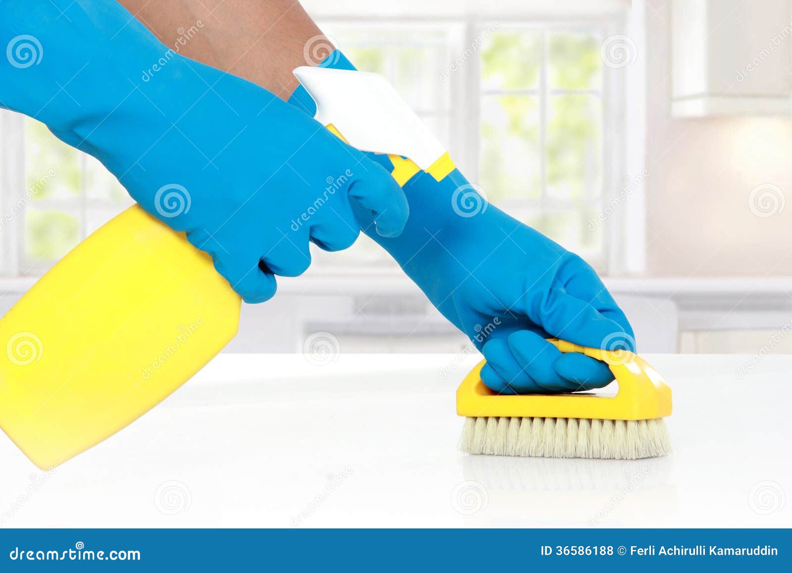 Hand with Glove Using Cleaning Brush To Clean Up Stock Photo Image of