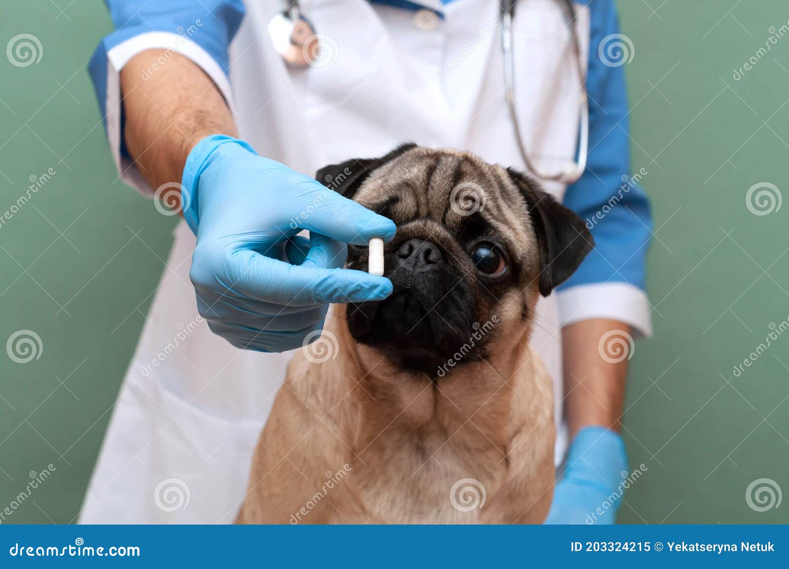 Hand in Gloves Holding Pills and Close up Medicine and Medications that