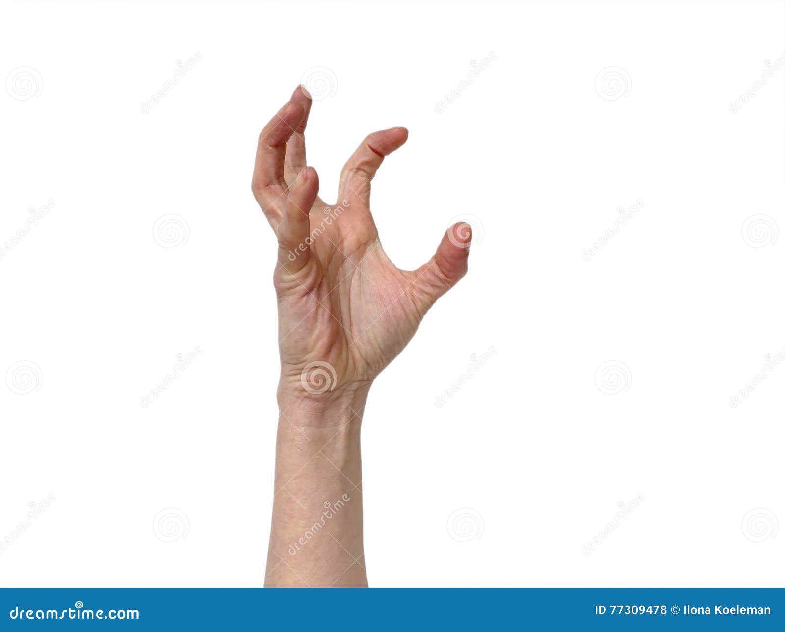 Hand in Grabbing Position Isolated Stock Photo Image of exercise