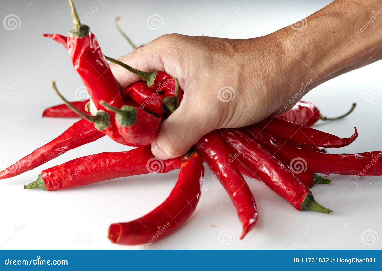 Hand grabing chili stock photo. Image of handle, holding 11731832